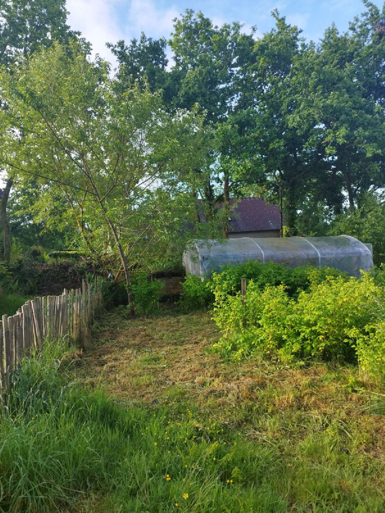  à vendre maison Saint-Rivoal Finistère 8