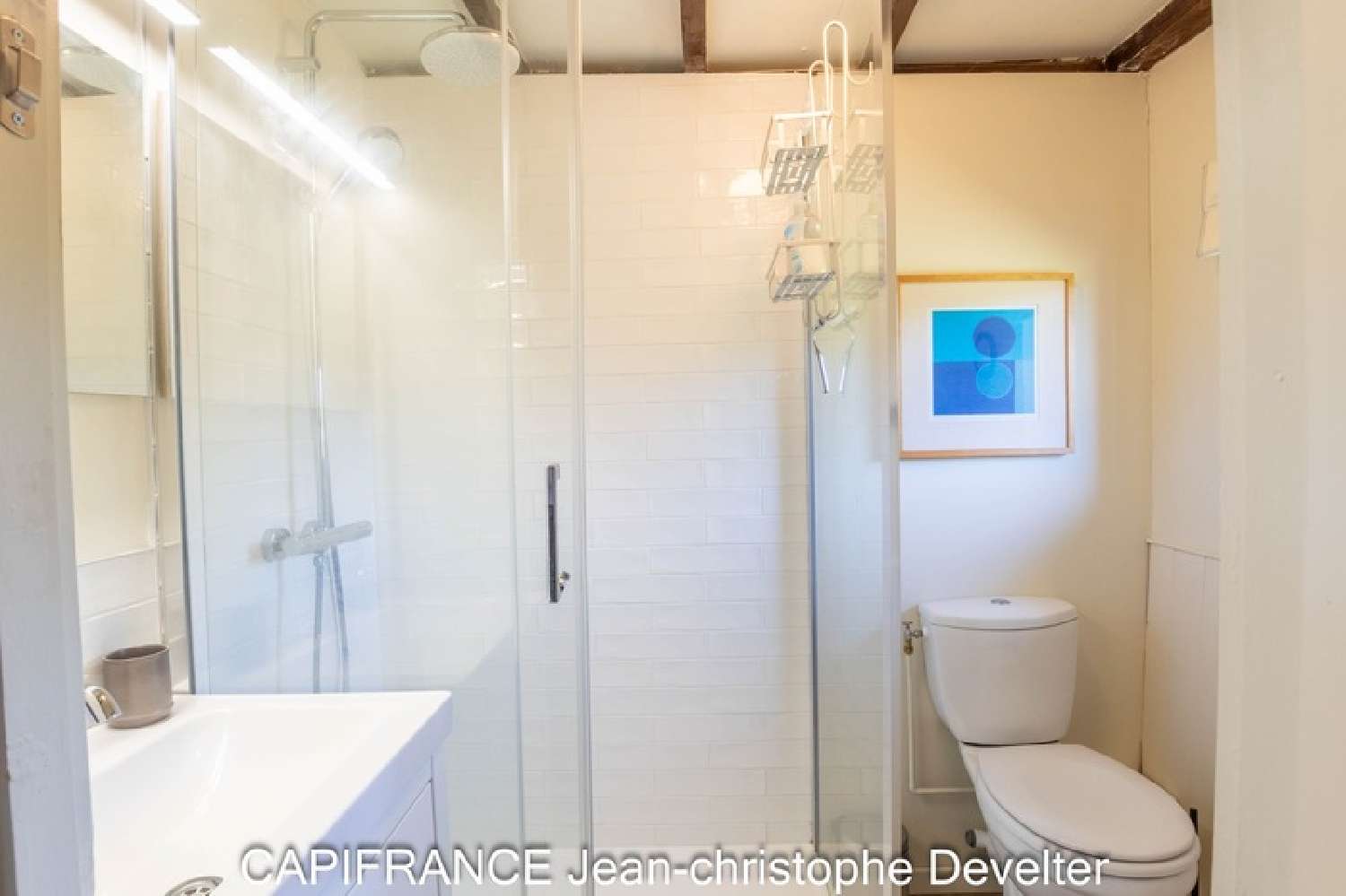  à vendre maison Saint-Roch-sur-Égrenne Orne 8