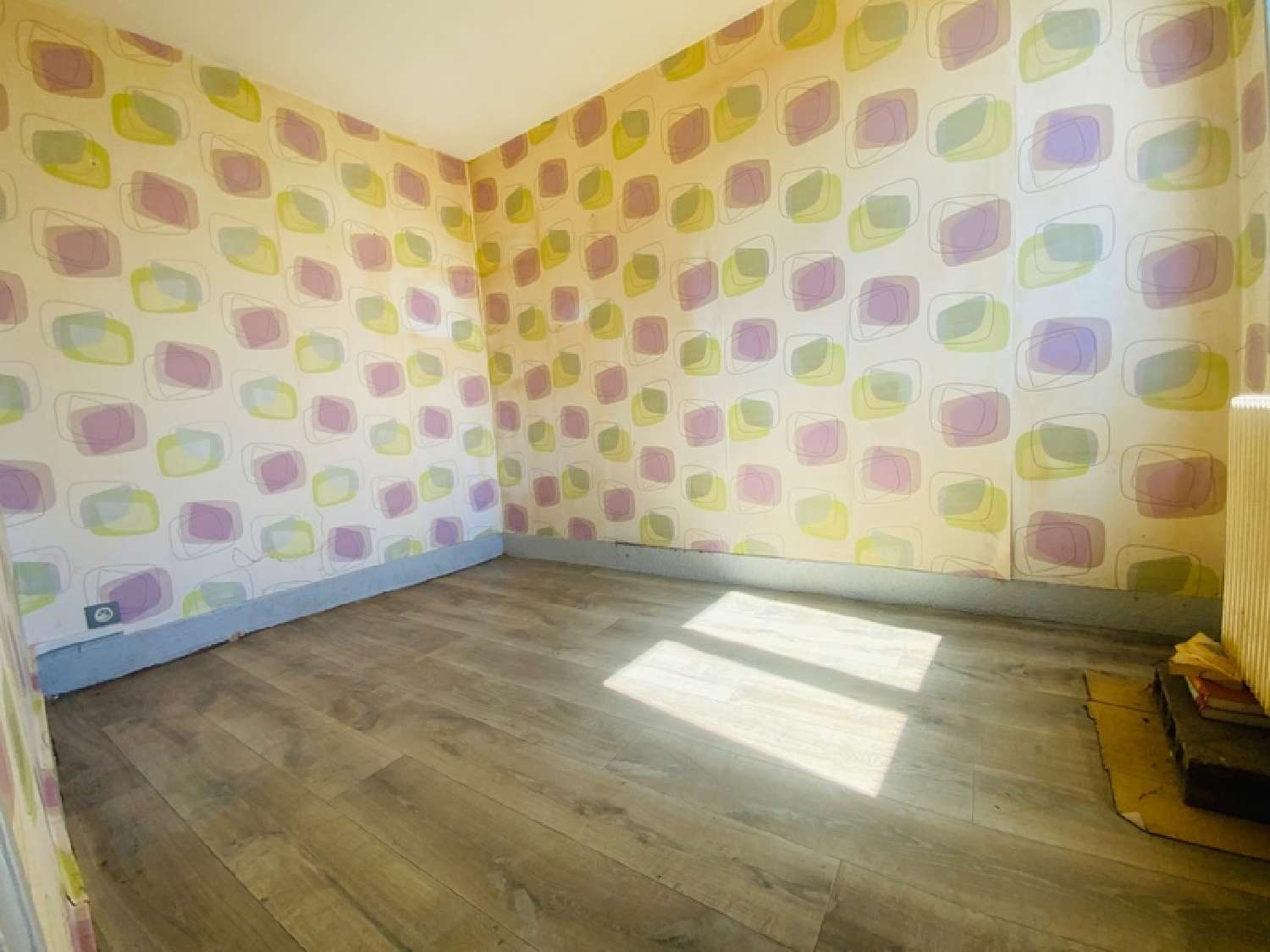  à vendre maison Saint-Romain-le-Puy Loire 5