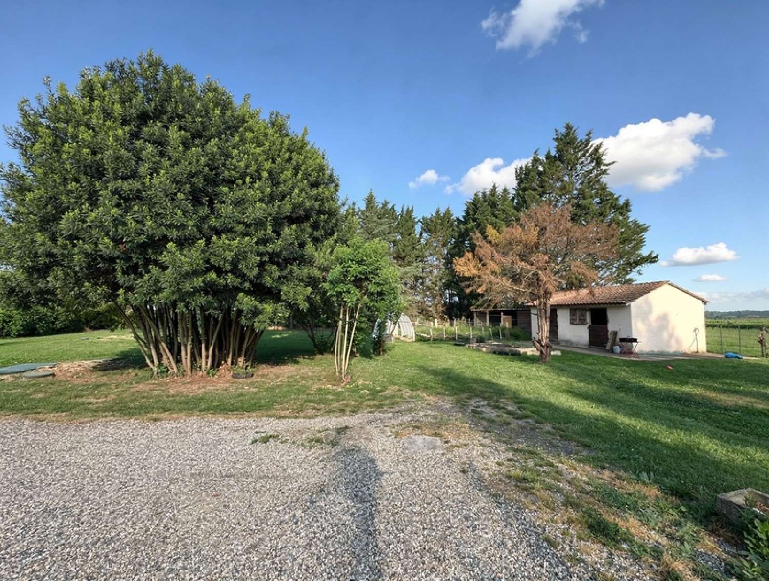  te koop huis Saint-Sulpice-de-Pommiers Gironde 3