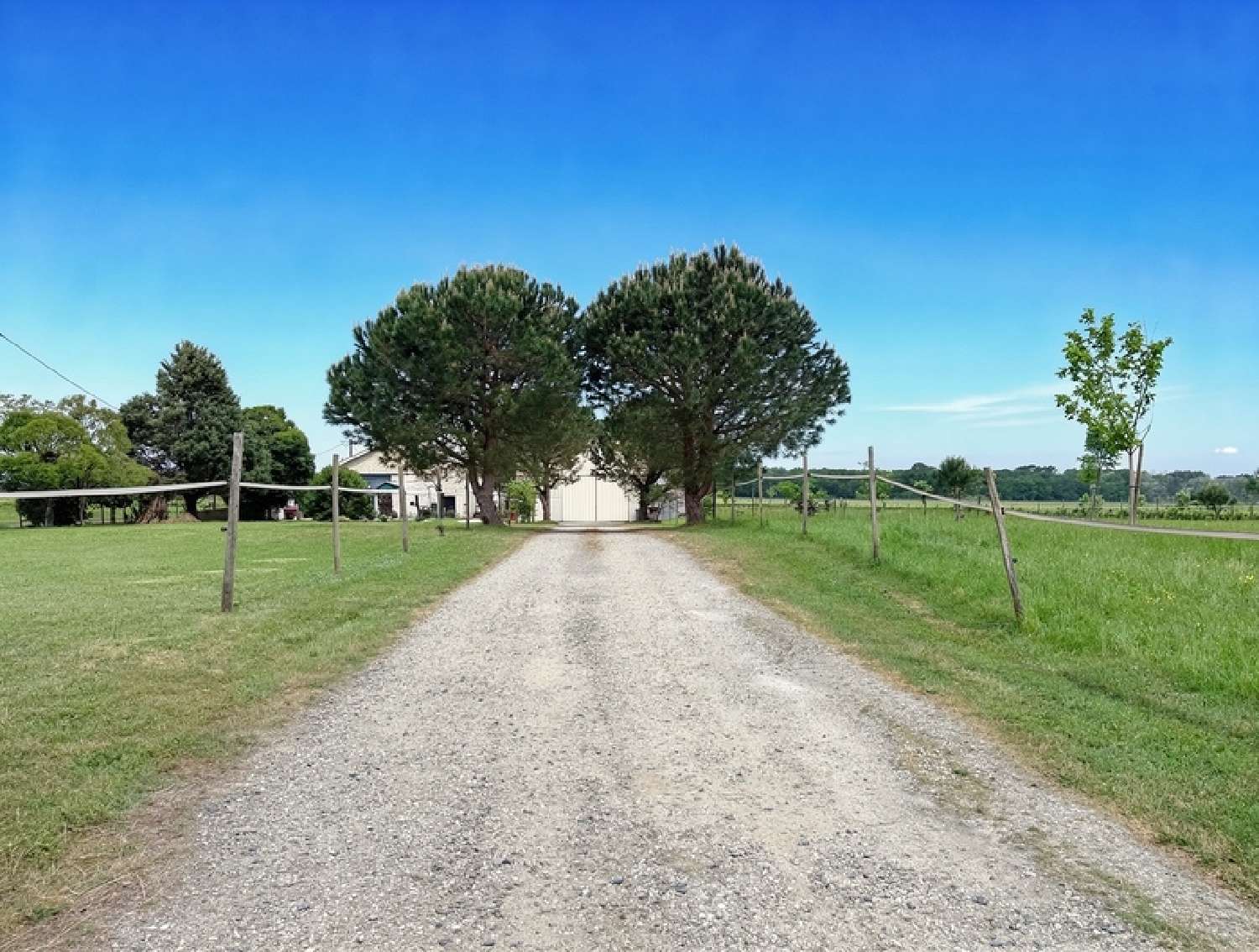  te koop huis Saint-Sulpice-de-Pommiers Gironde 3