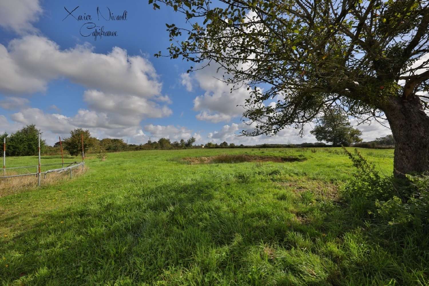  à vendre maison Saint-Trivier-de-Courtes Ain 2