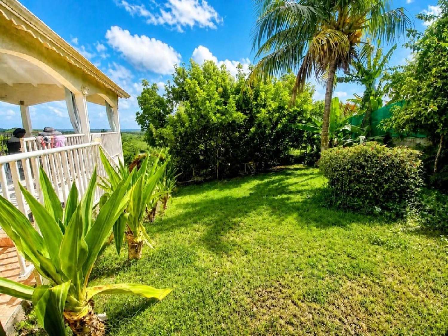  for sale house Sainte-Anne Guadeloupe 3