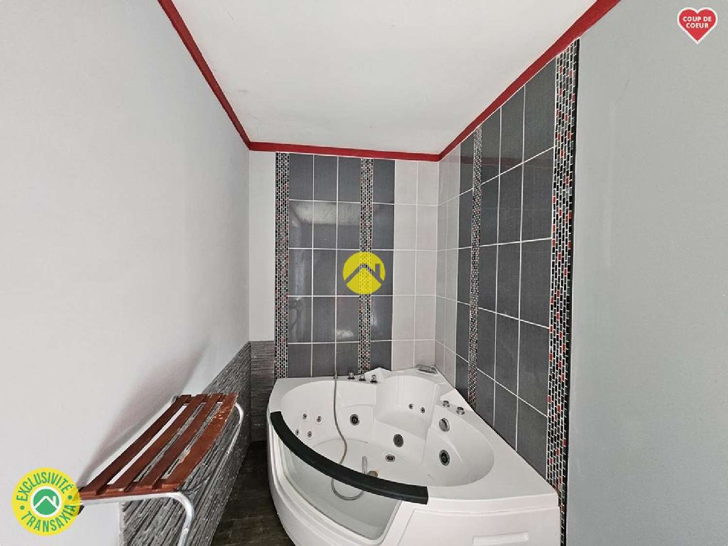  te koop huis Sancoins Cher 2