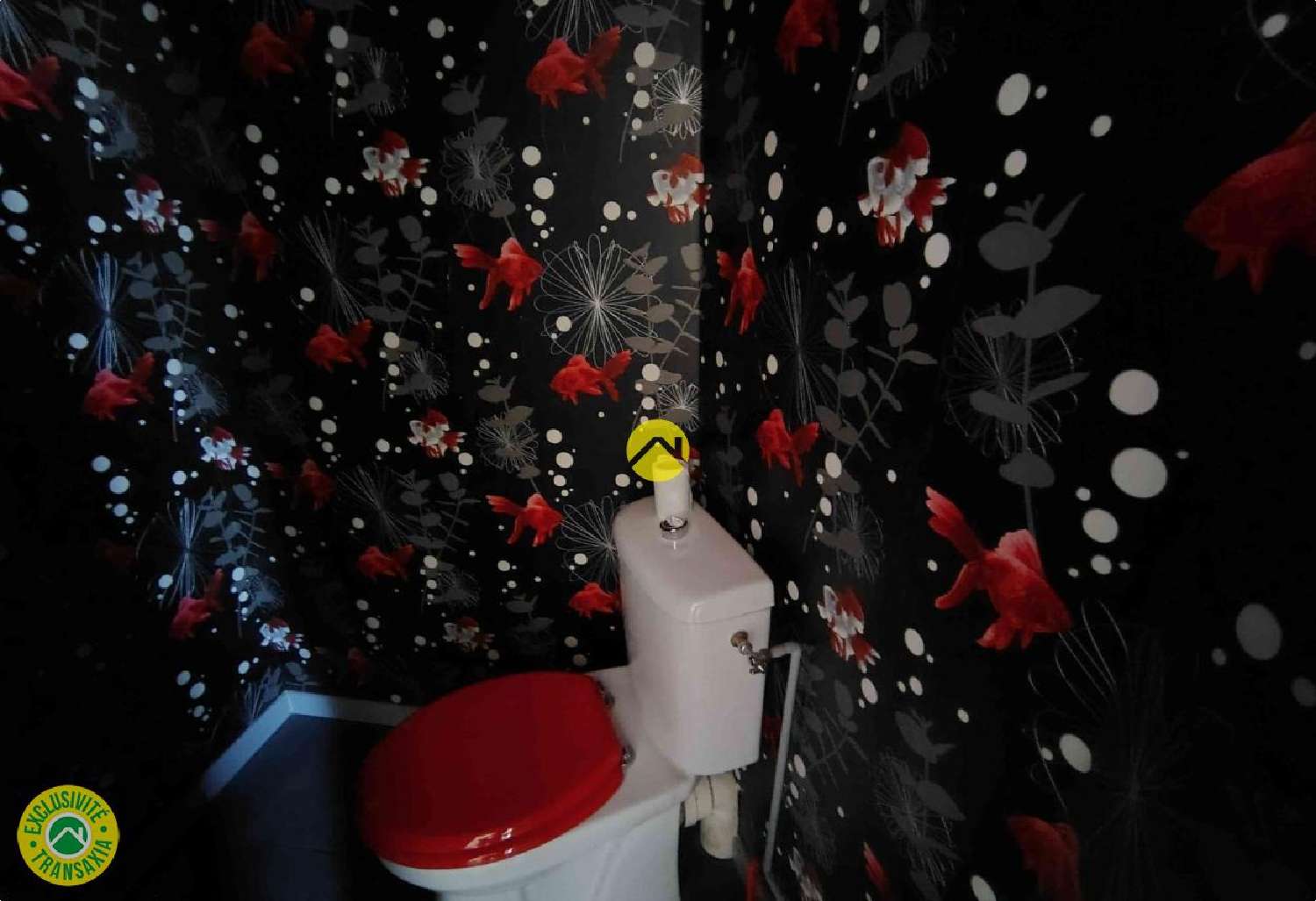  te koop huis Sancoins Cher 5