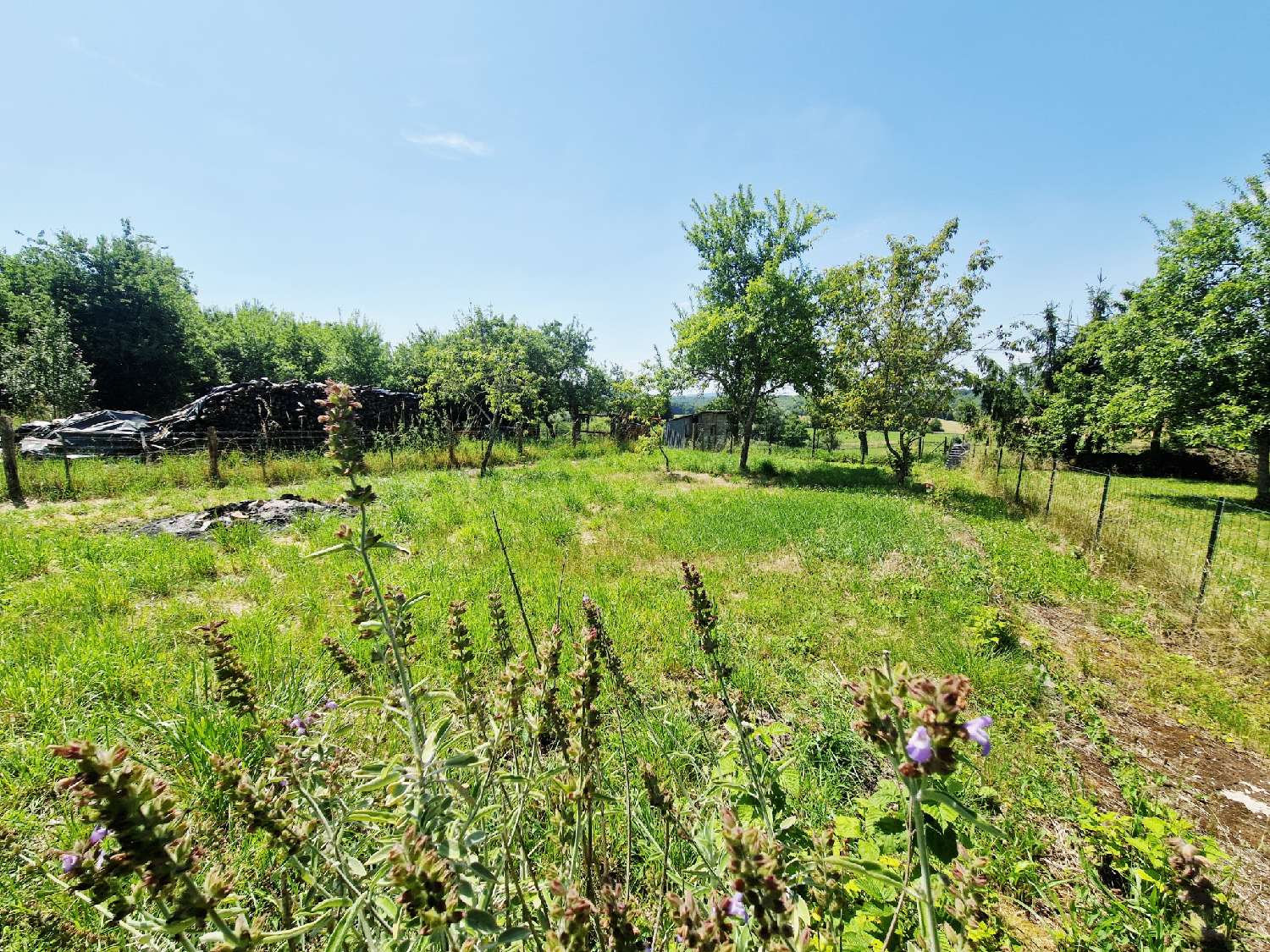 for sale house Saponcourt Haute-Saône 5