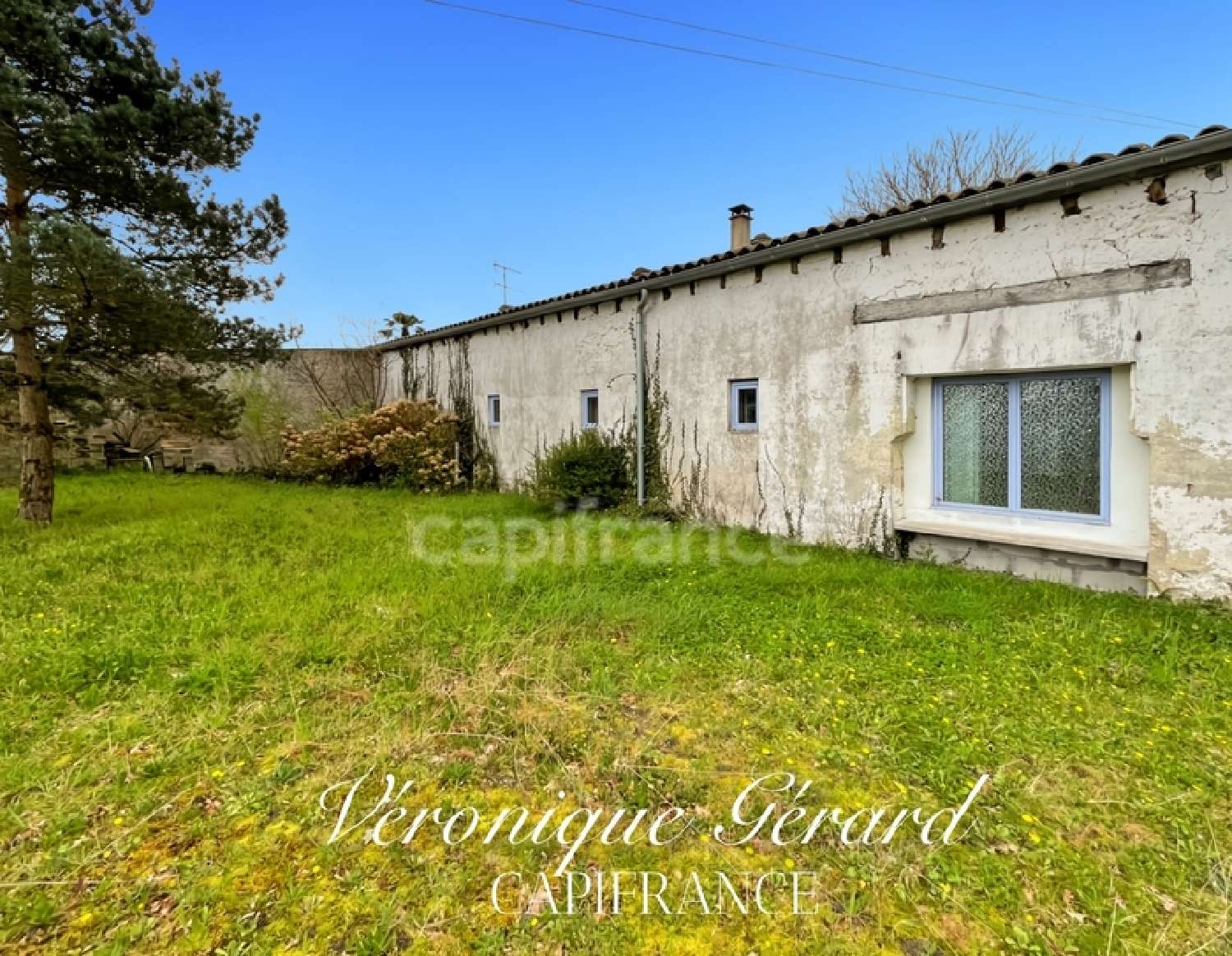 kaufen Haus Saugon Gironde 5