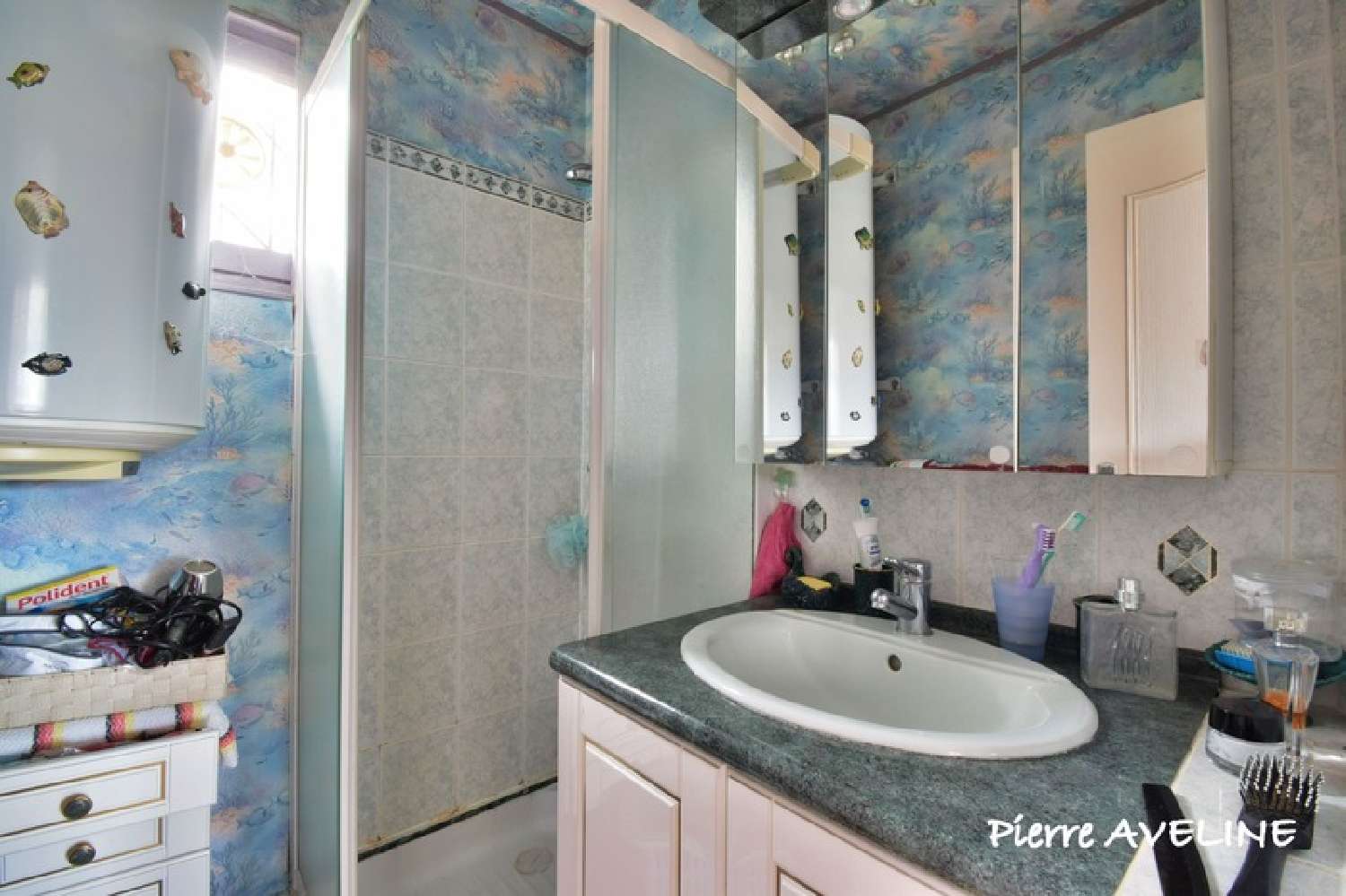 à vendre maison Saumeray Eure-et-Loir 7