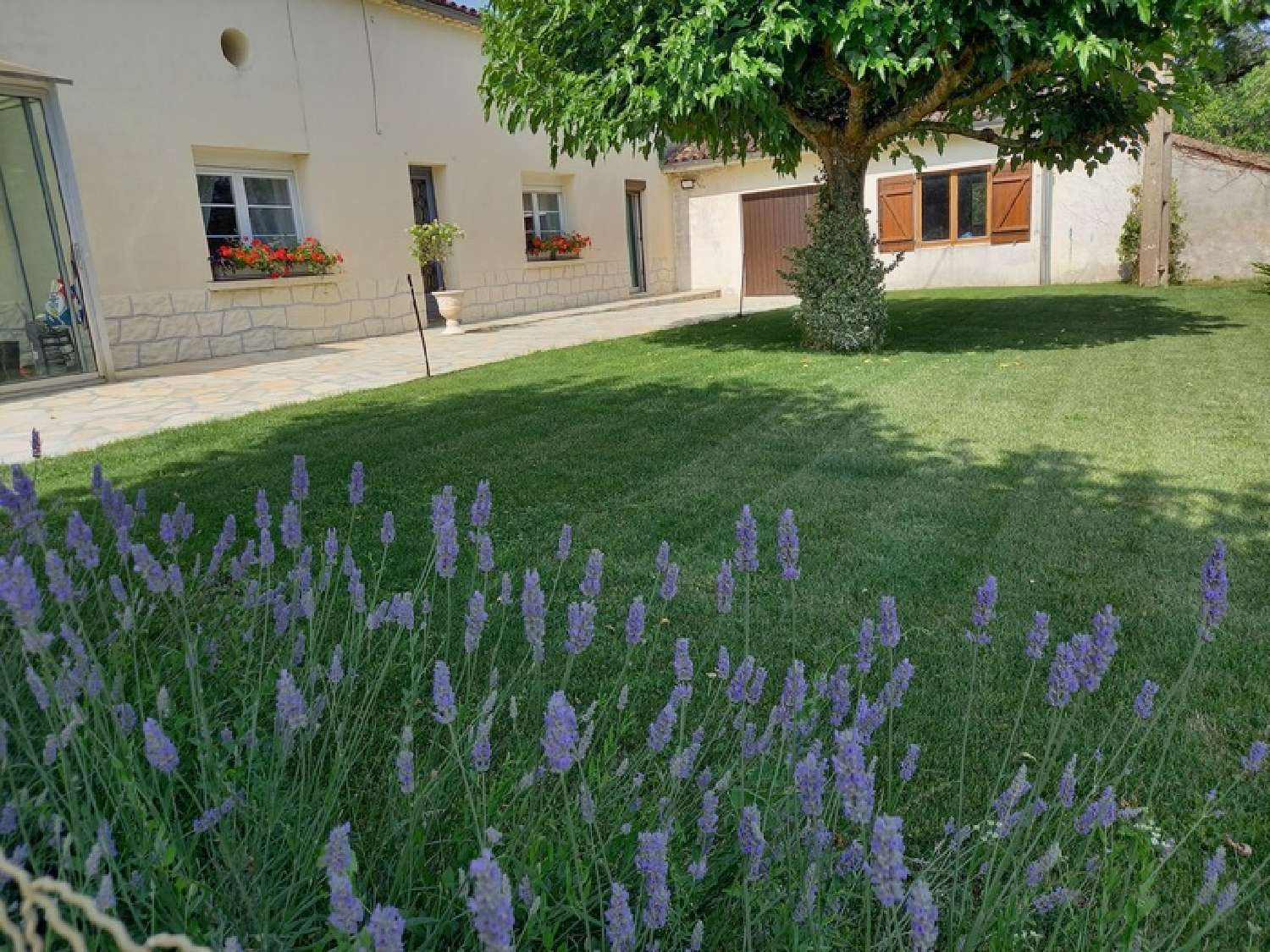  for sale house Sauveterre-de-Guyenne Gironde 3