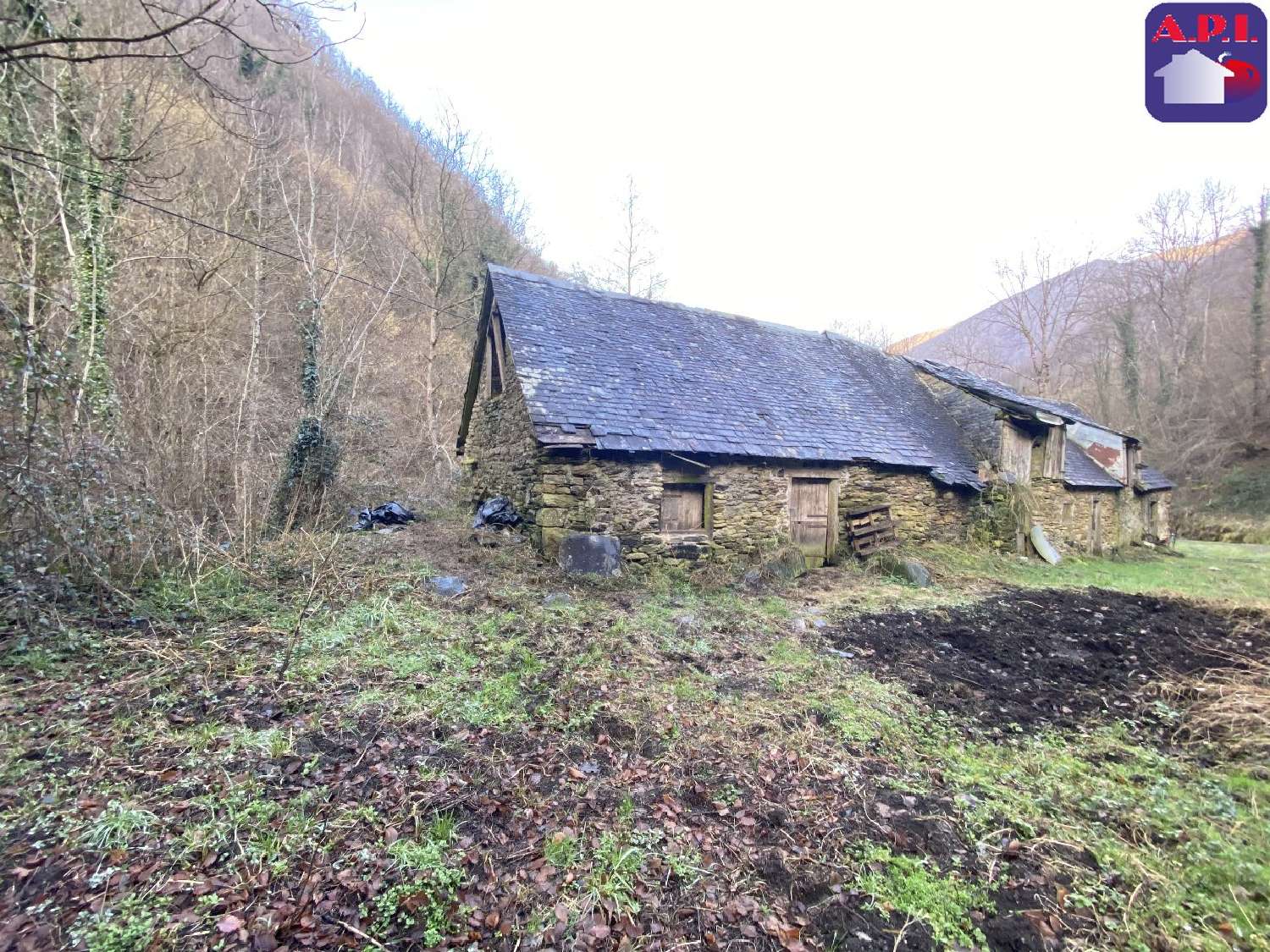 à vendre maison Sentein Ariège 1