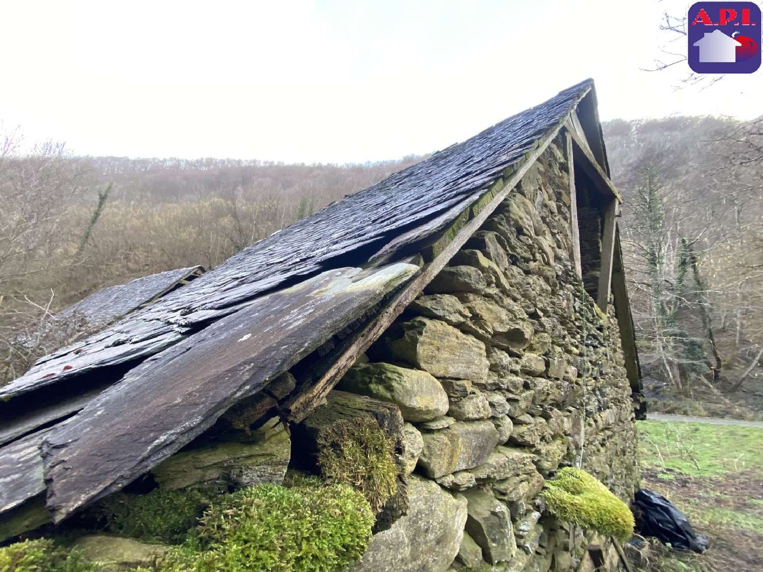 à vendre maison Sentein Ariège 4