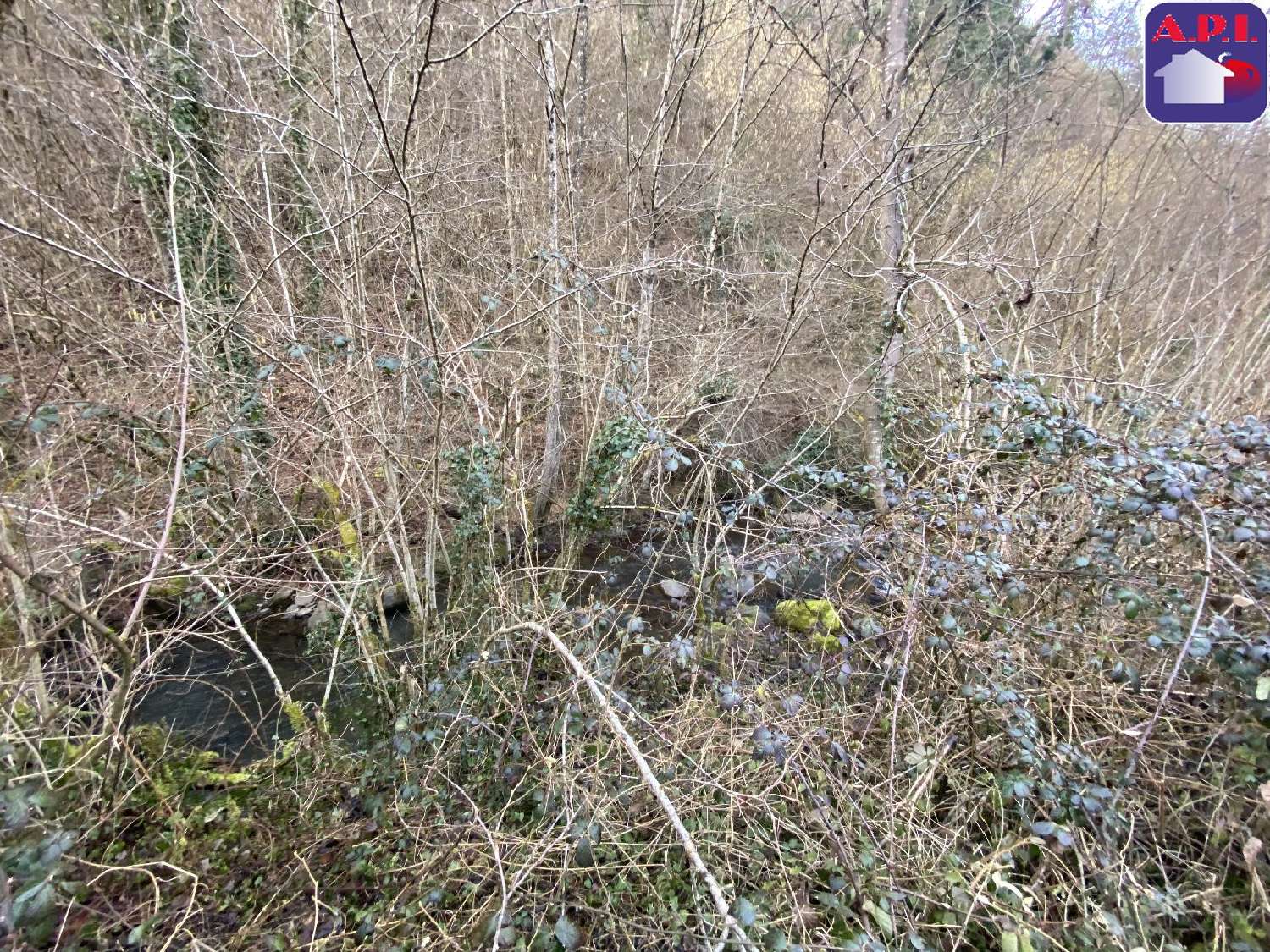à vendre maison Sentein Ariège 5