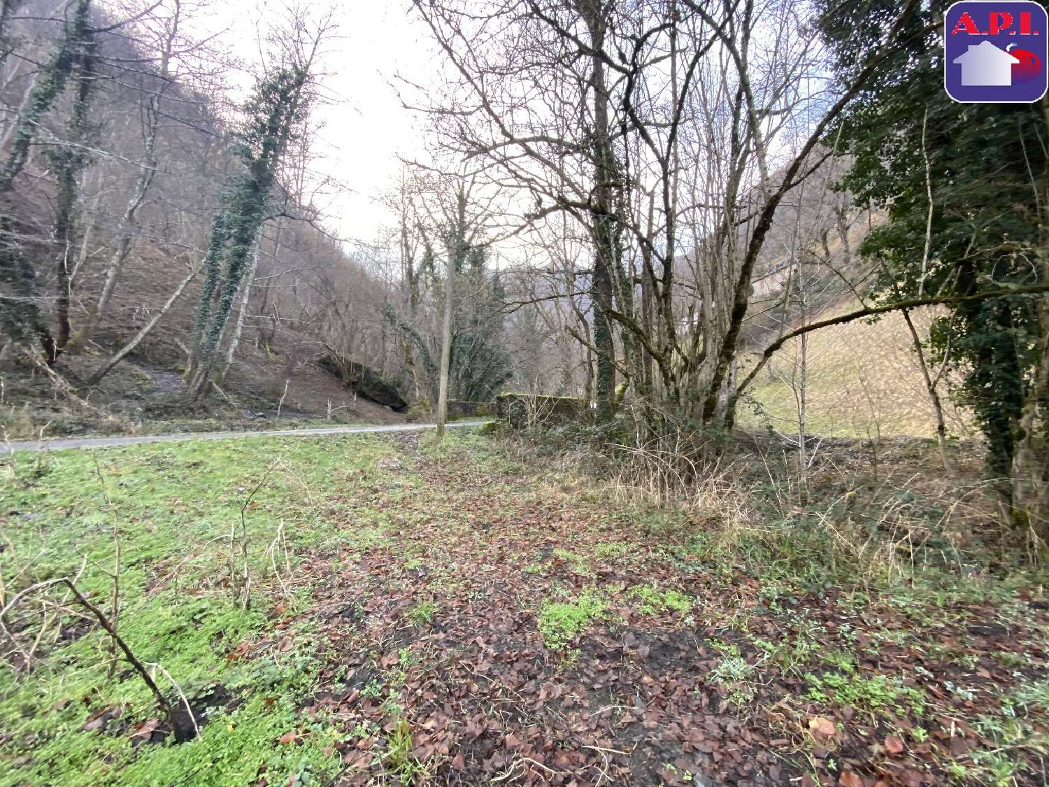 à vendre maison Sentein Ariège 7