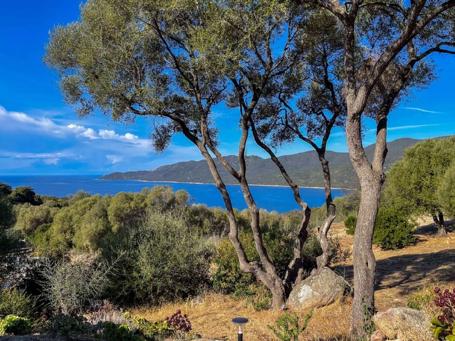 te koop huis Serra-di-Ferro Corse-du-Sud 2
