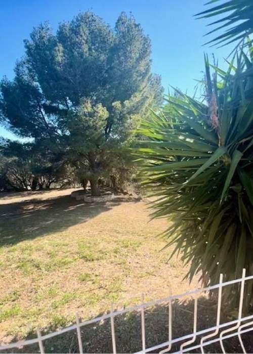 Sigean Aude Haus Bild 7341329