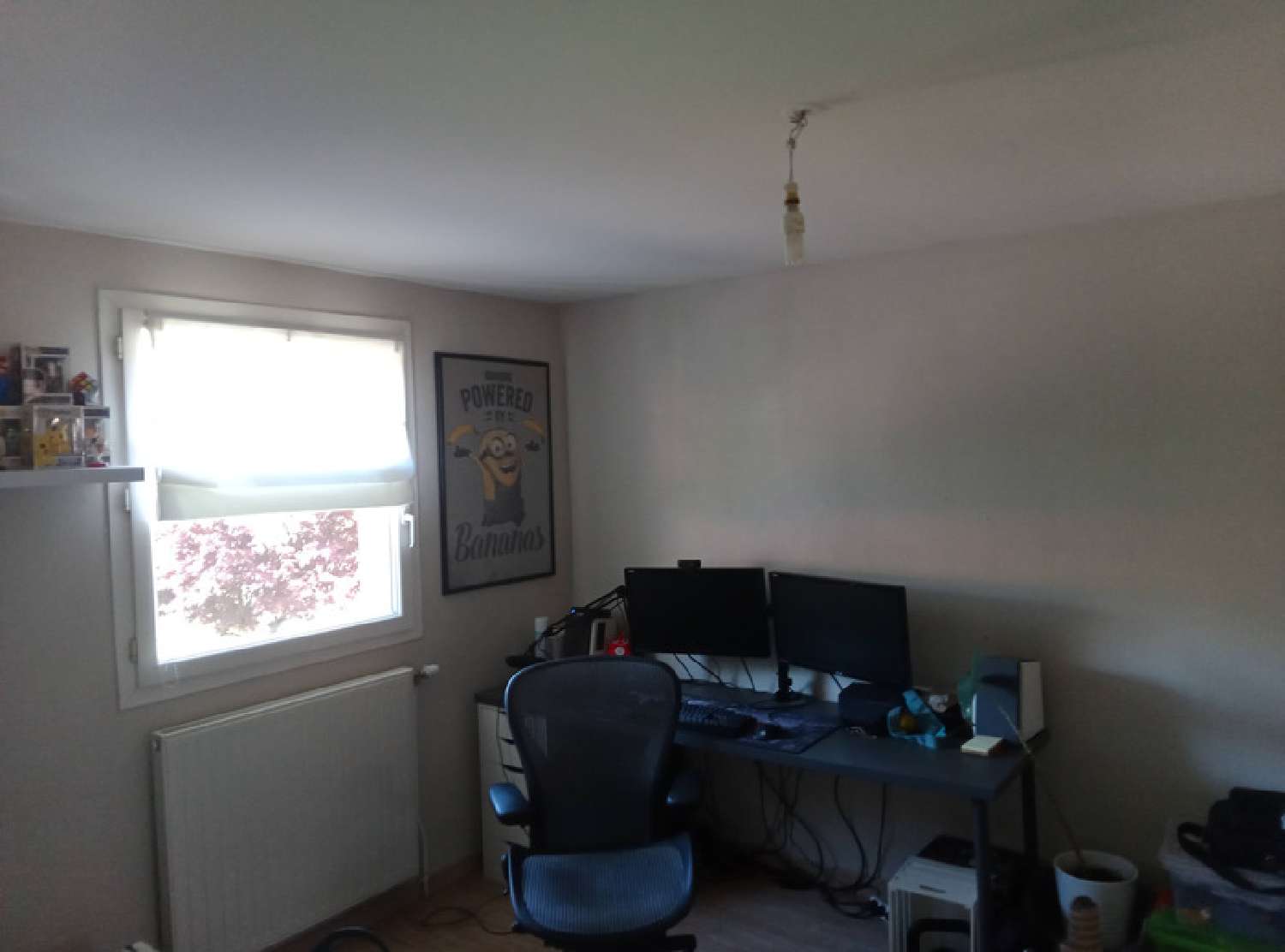  te koop huis Terrenoire Loire 3