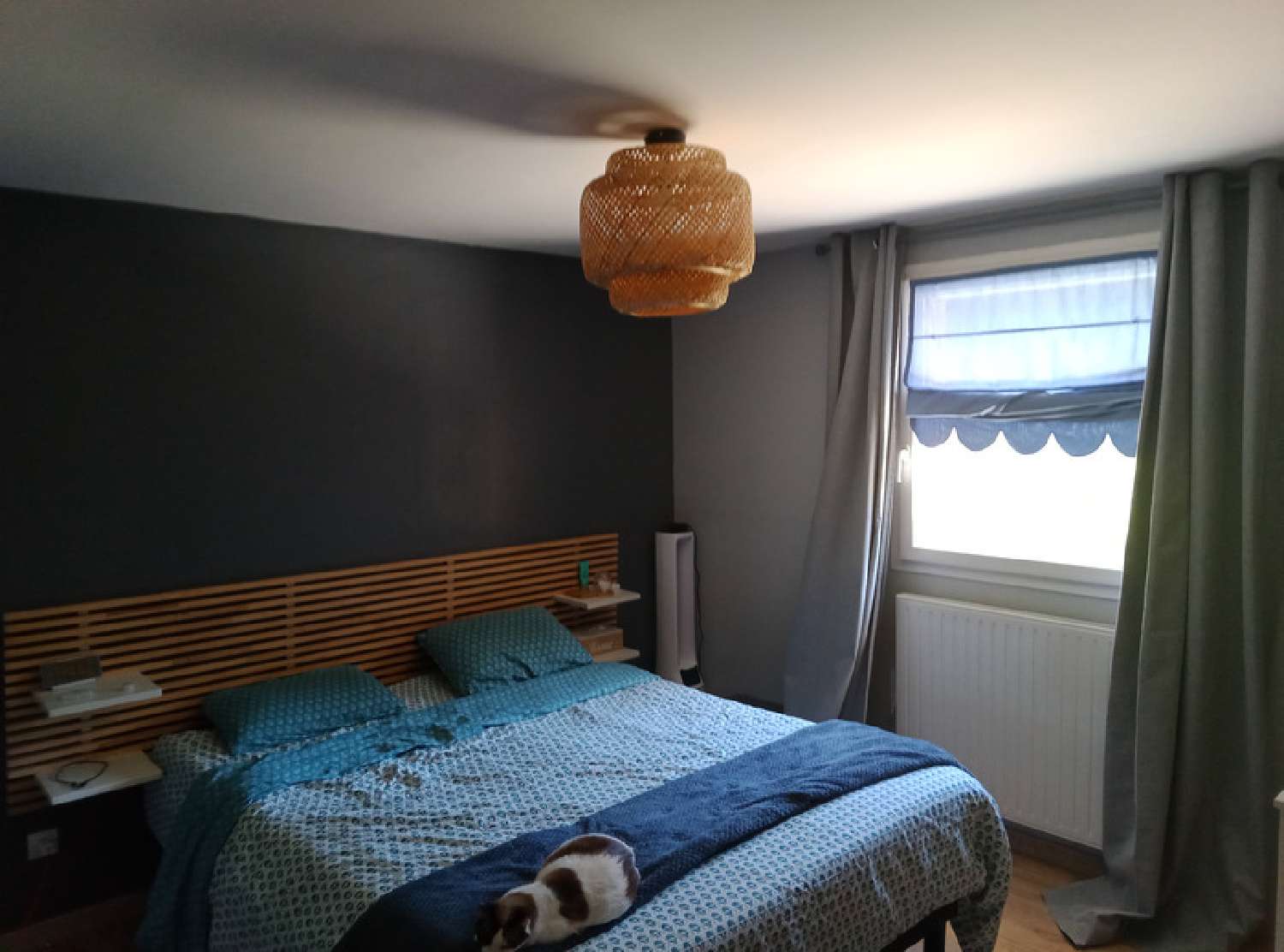  te koop huis Terrenoire Loire 5