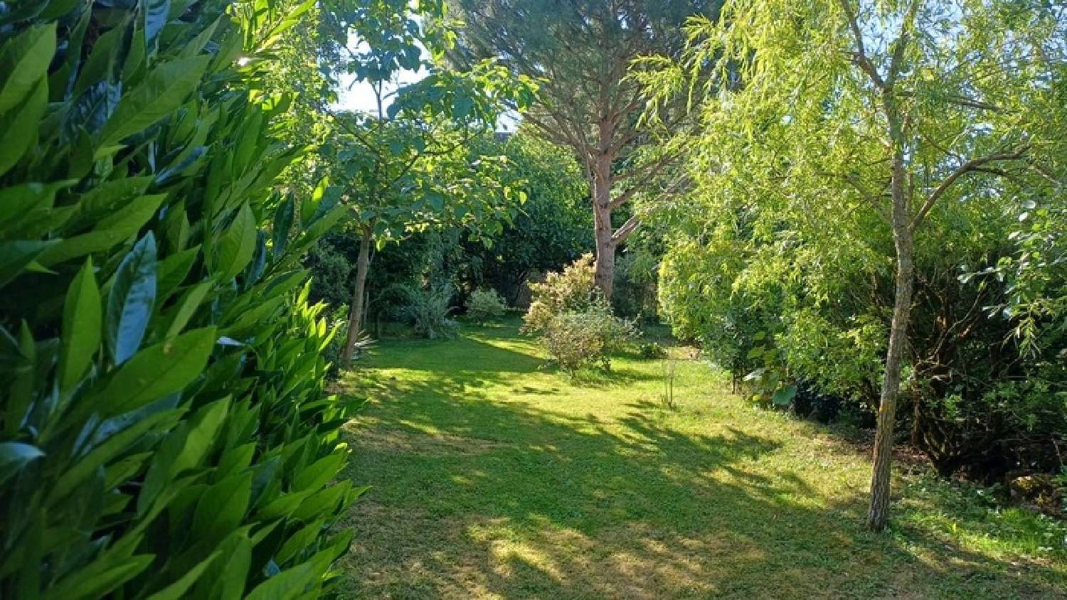  à vendre maison Thenon Dordogne 8