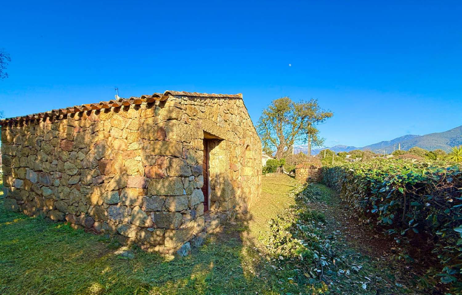  te koop huis Tolla Corse-du-Sud 1