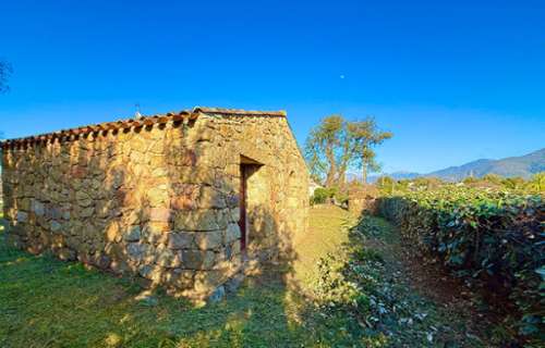 Tolla Corse-du-Sud huis foto 7338247