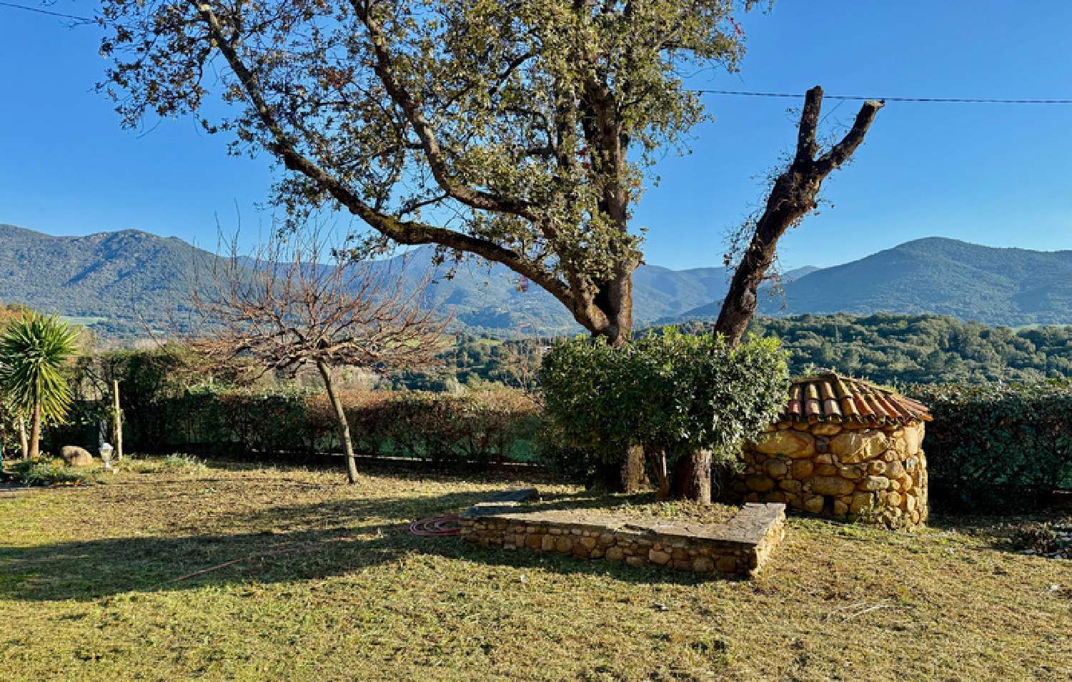  te koop huis Tolla Corse-du-Sud 3