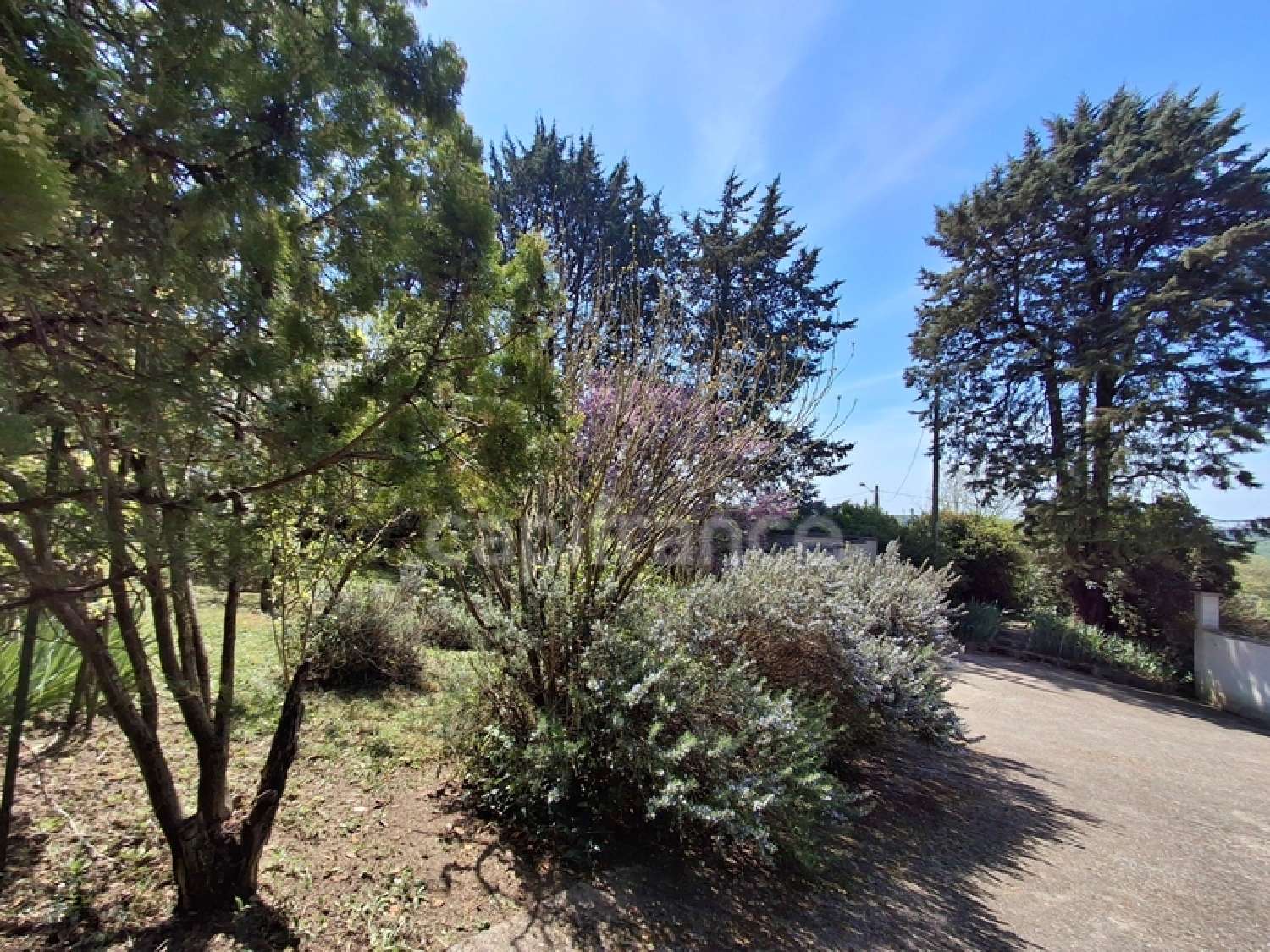 for sale house Tombeboeuf Lot-et-Garonne 6