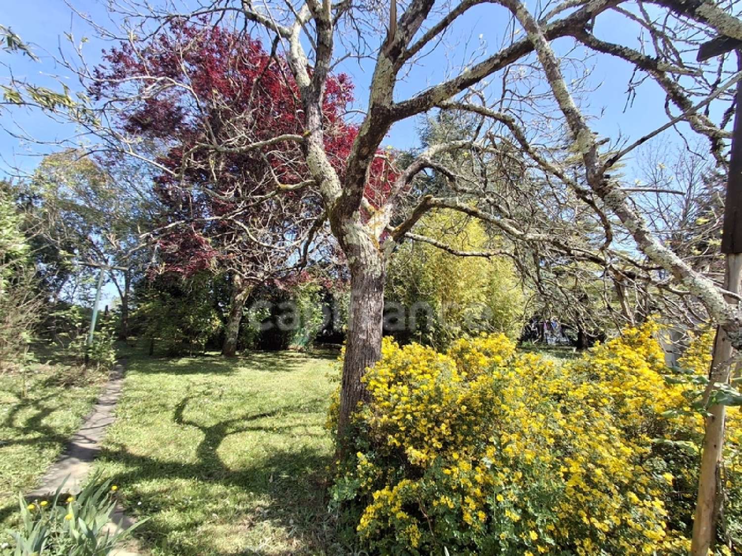 for sale house Tombeboeuf Lot-et-Garonne 7