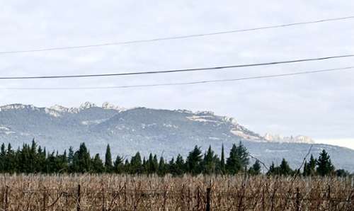 Vacqueyras Vaucluse Haus Bild 7341319
