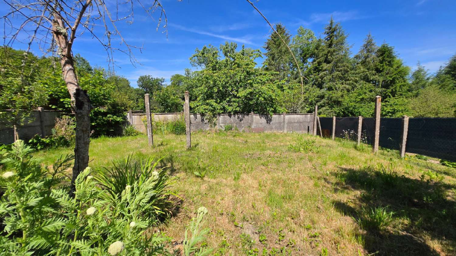 à vendre maison Vaulry Haute-Vienne 5