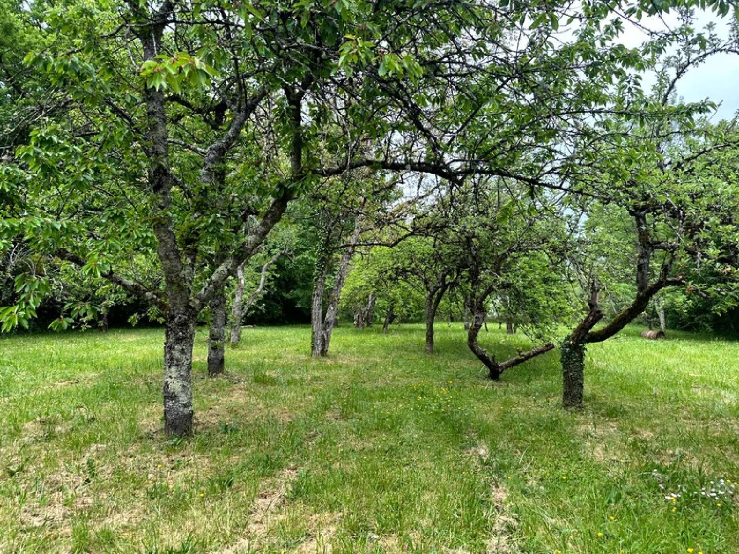  te koop huis Venarey-les-Laumes Côte-d'Or 7