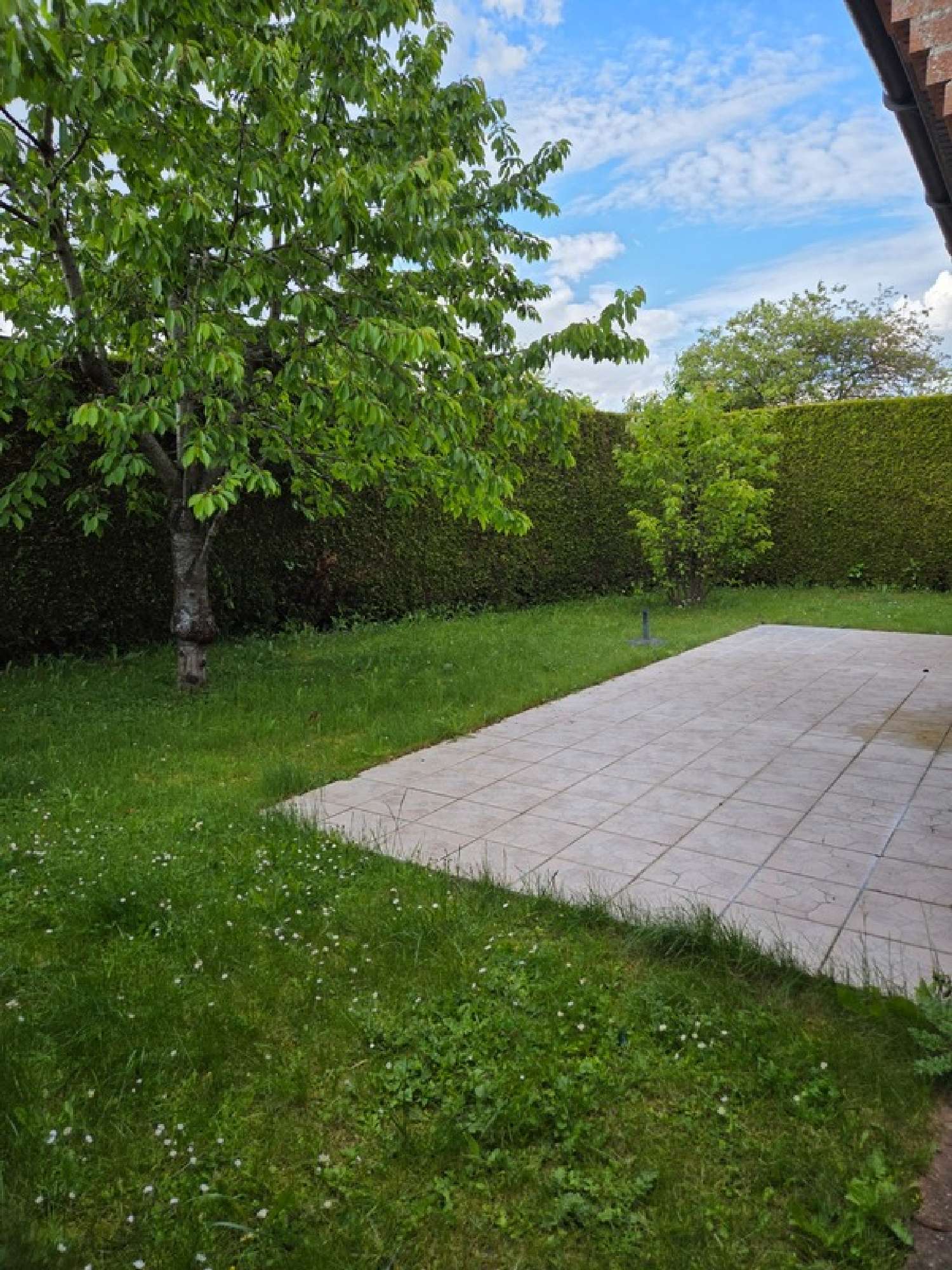 for sale house Vendeville Nord 2