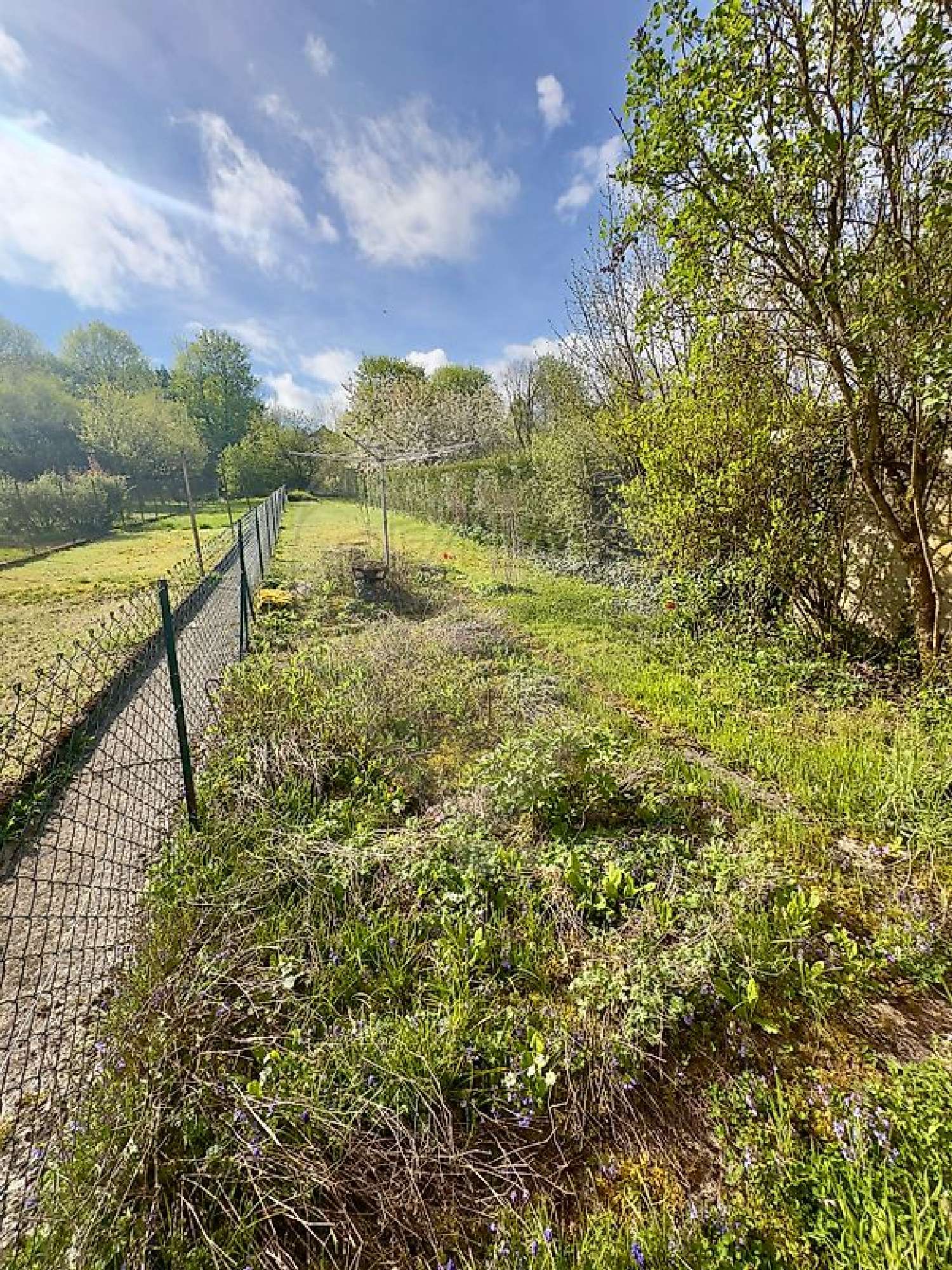  à vendre maison Verdun Meuse 5