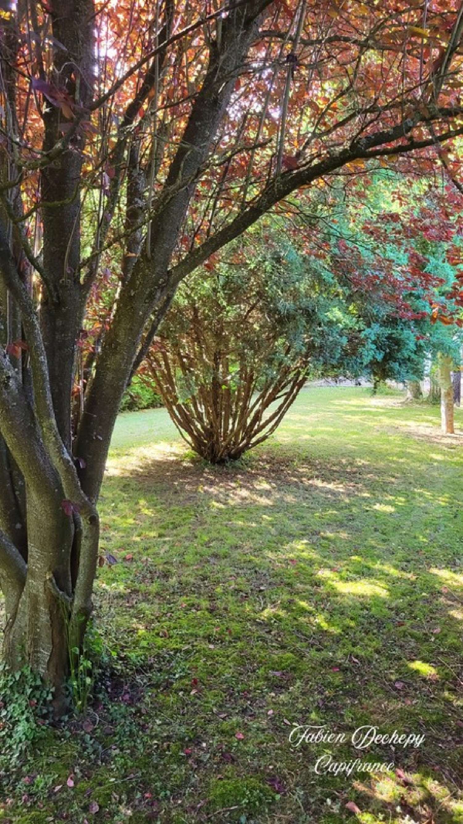  à vendre maison Vieux-Rouen-sur-Bresle Seine-Maritime 8