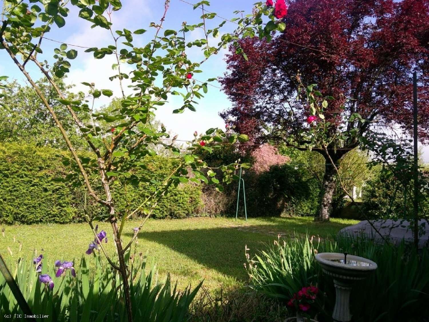 à vendre maison Villefagnan Charente 2