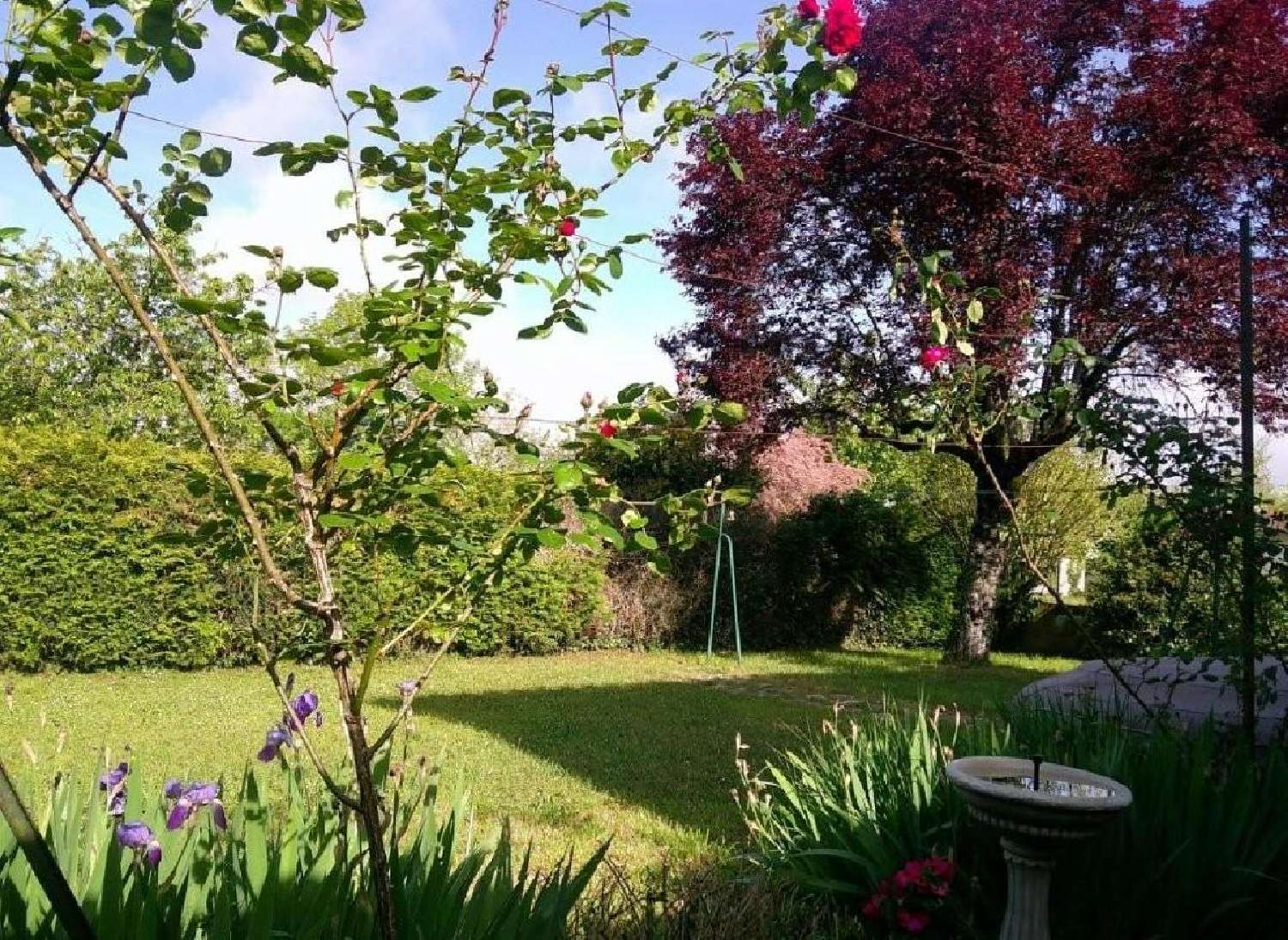  for sale house Villefagnan Charente 2