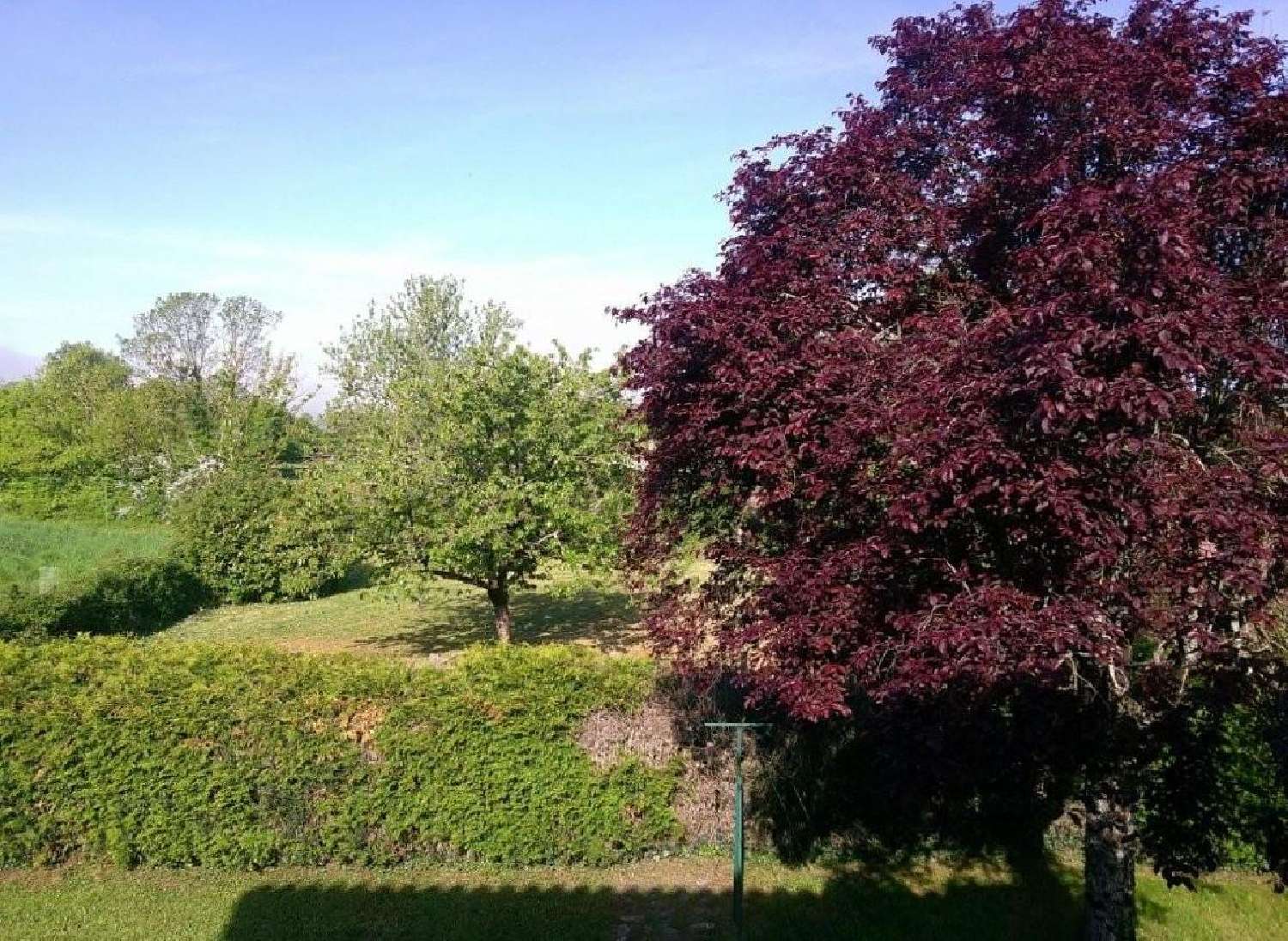  for sale house Villefagnan Charente 3