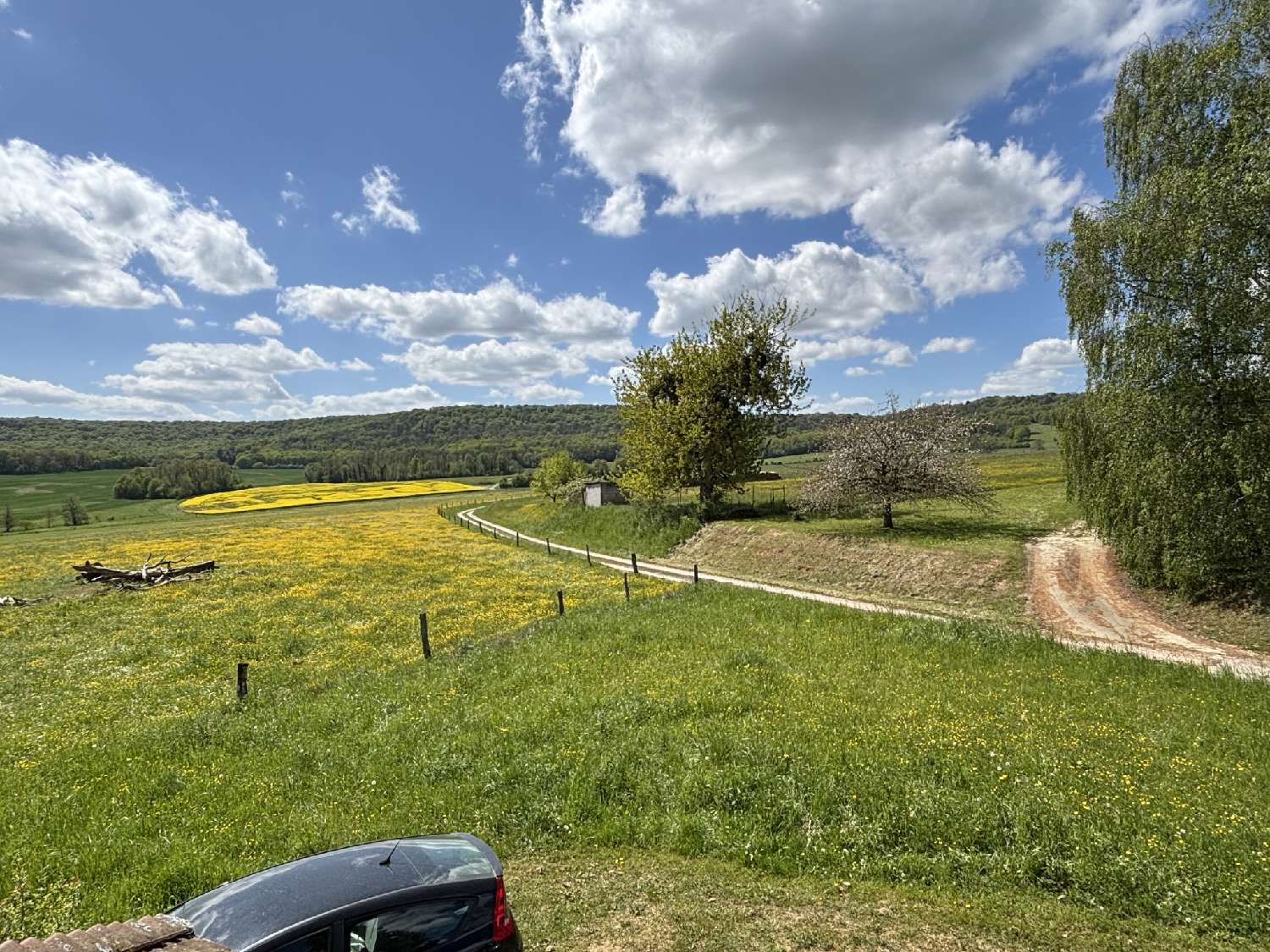  te koop huis Voisey Haute-Marne 2