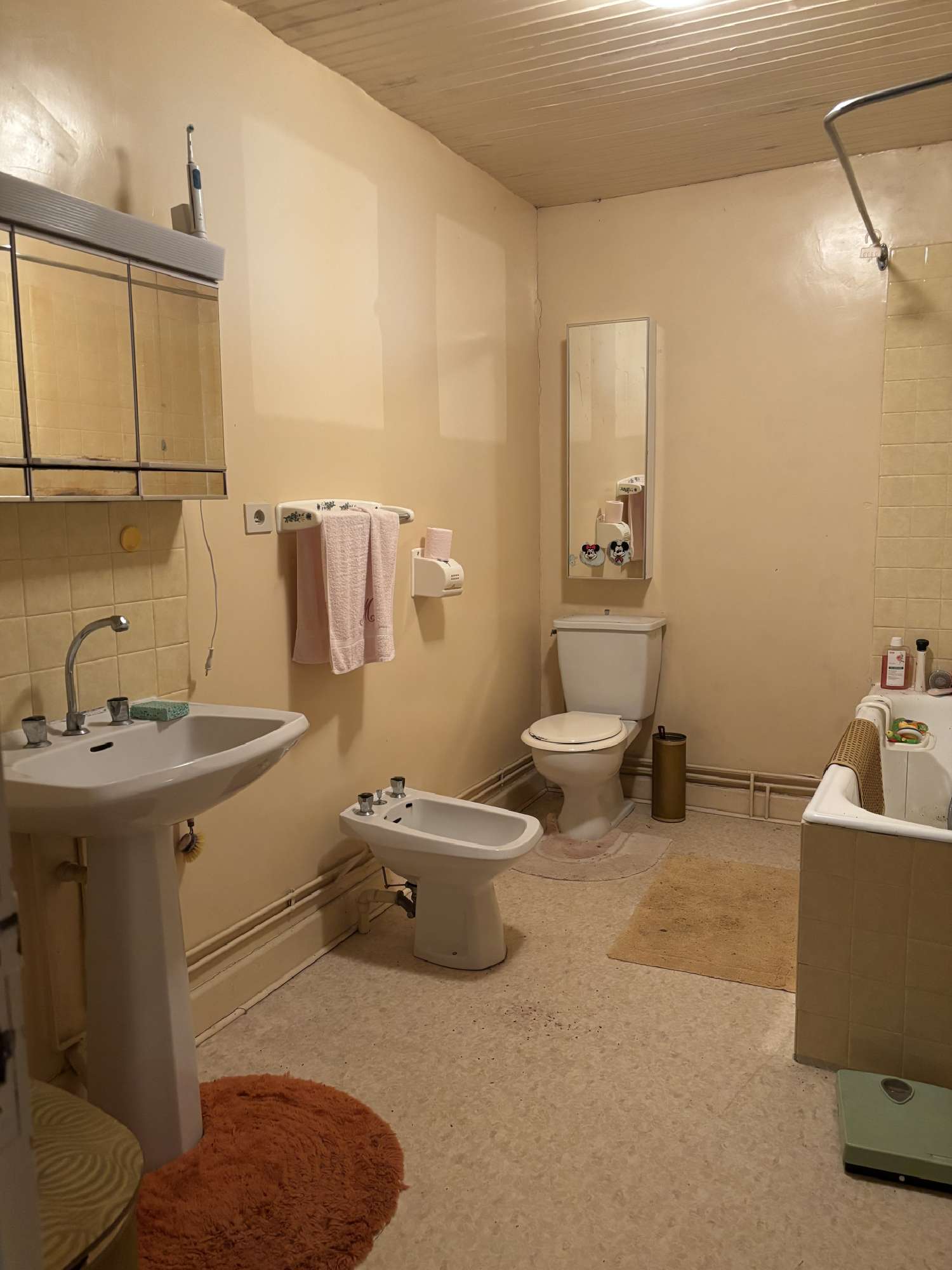  te koop huis Voisey Haute-Marne 5