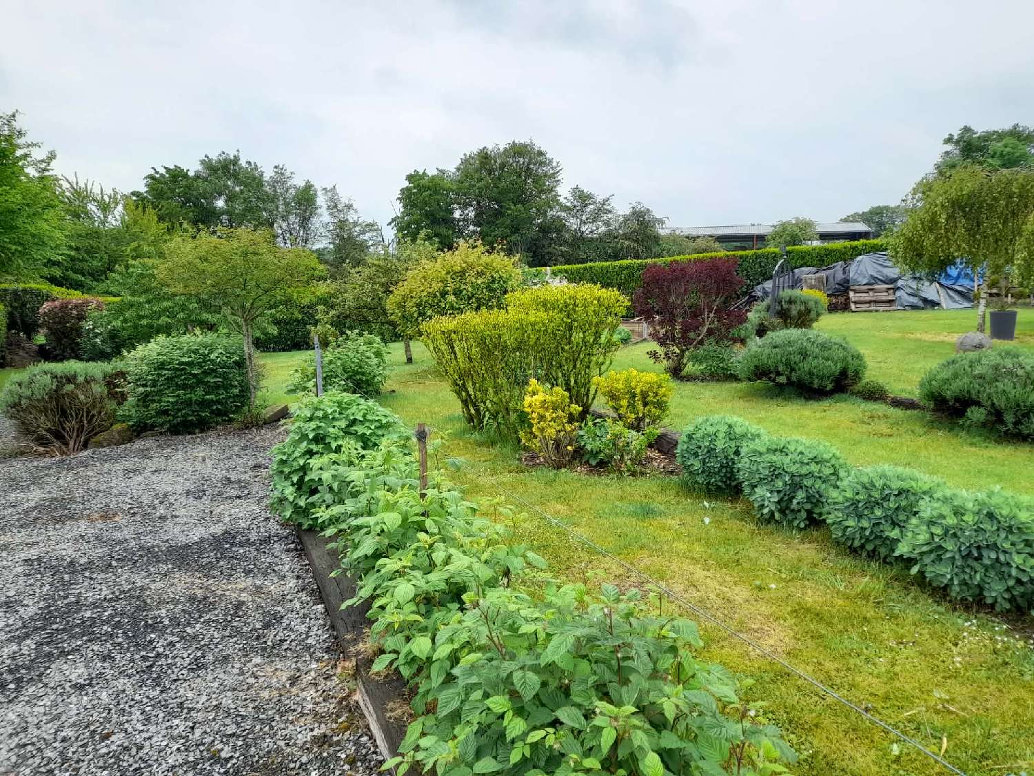  for sale house Wimy Aisne 8