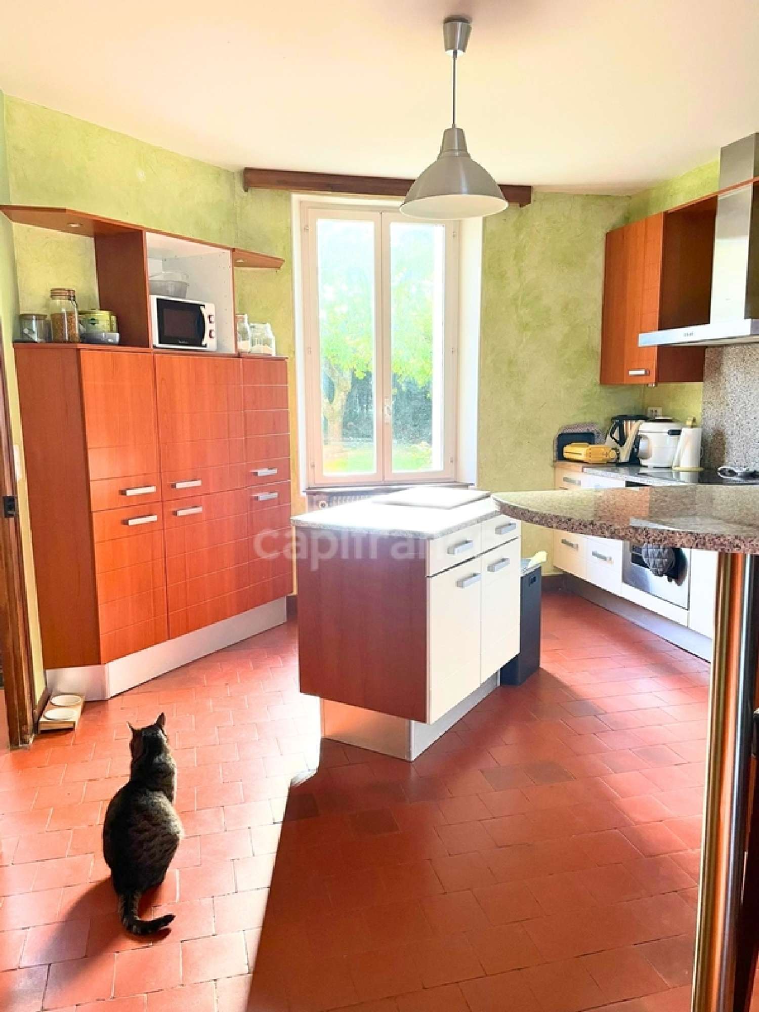  en venta mansión Coullons Loiret 3