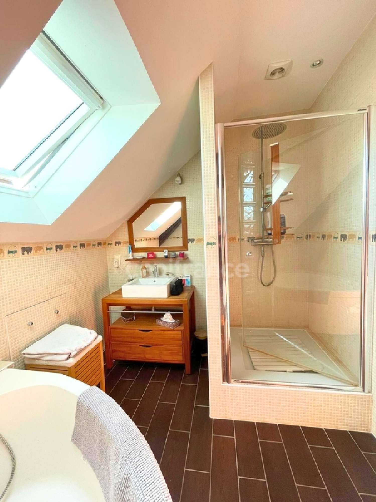  en venta mansión Coullons Loiret 7