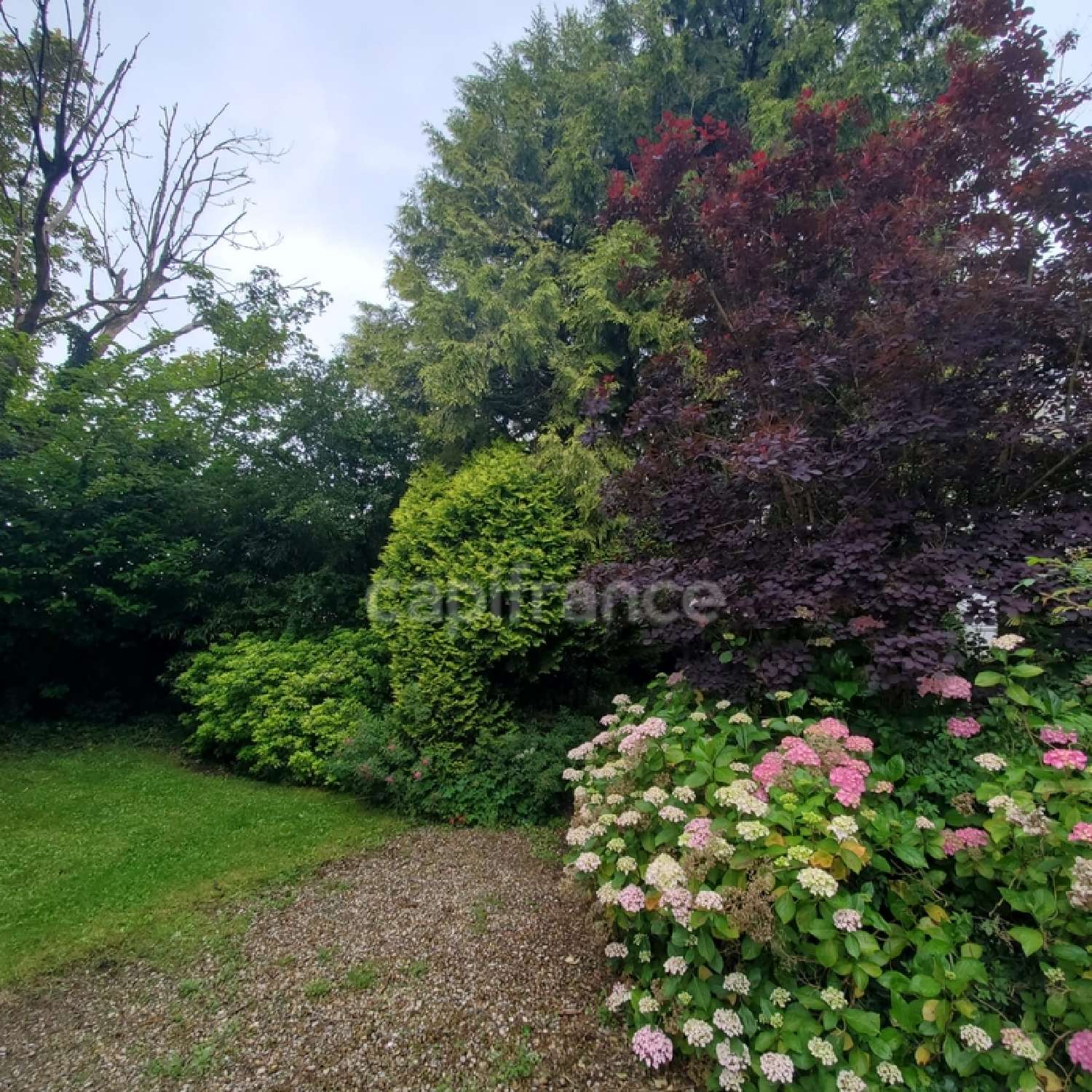  for sale mansion Les Loges Seine-Maritime 5
