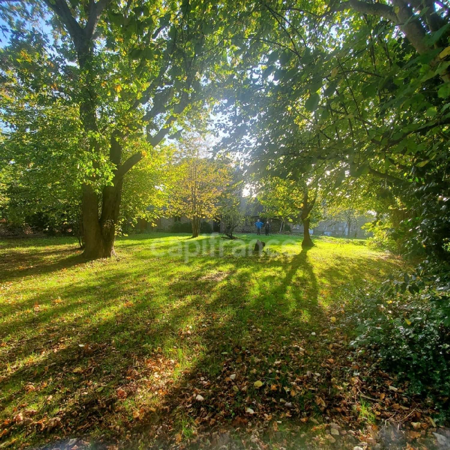  for sale mansion Les Loges Seine-Maritime 6