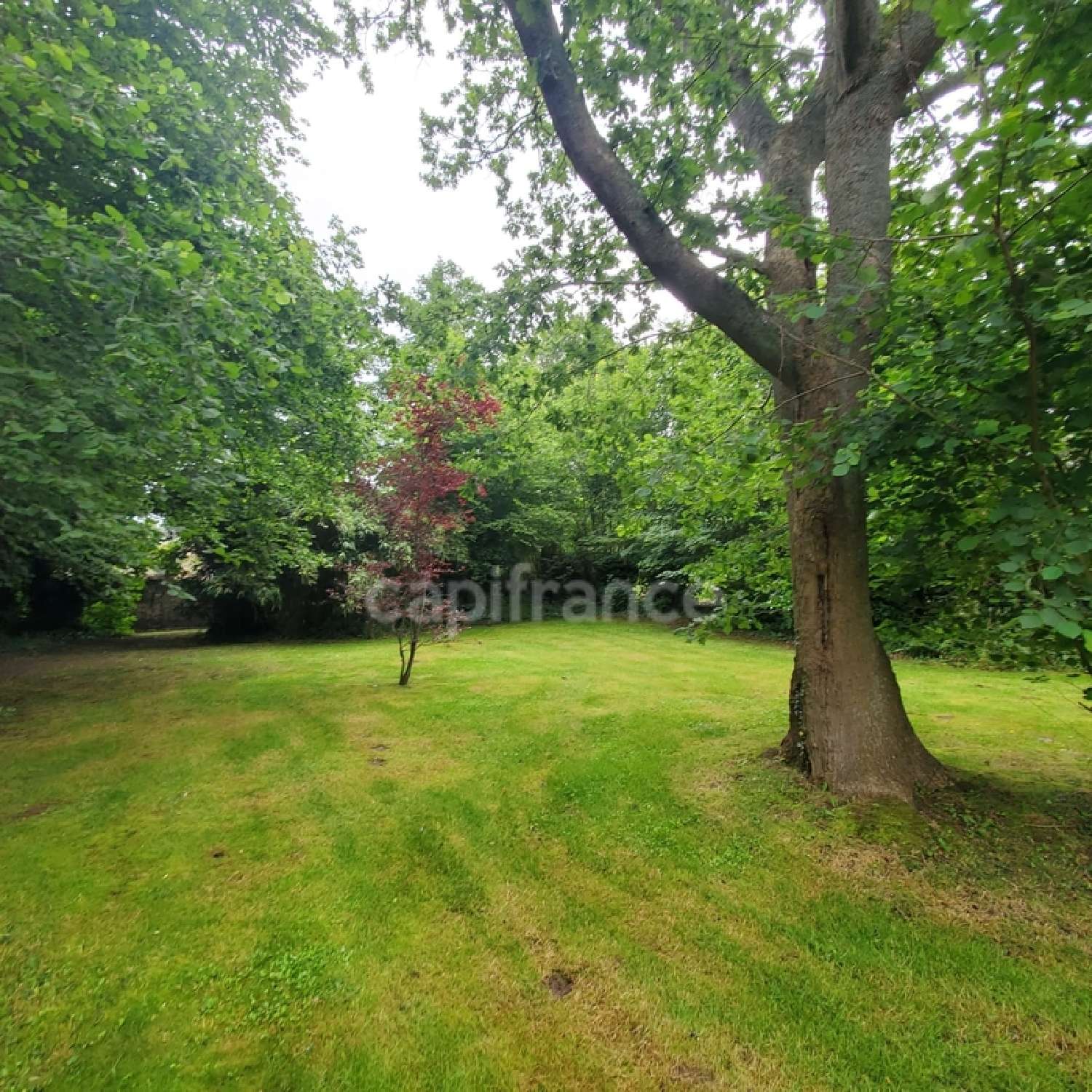  for sale mansion Les Loges Seine-Maritime 7