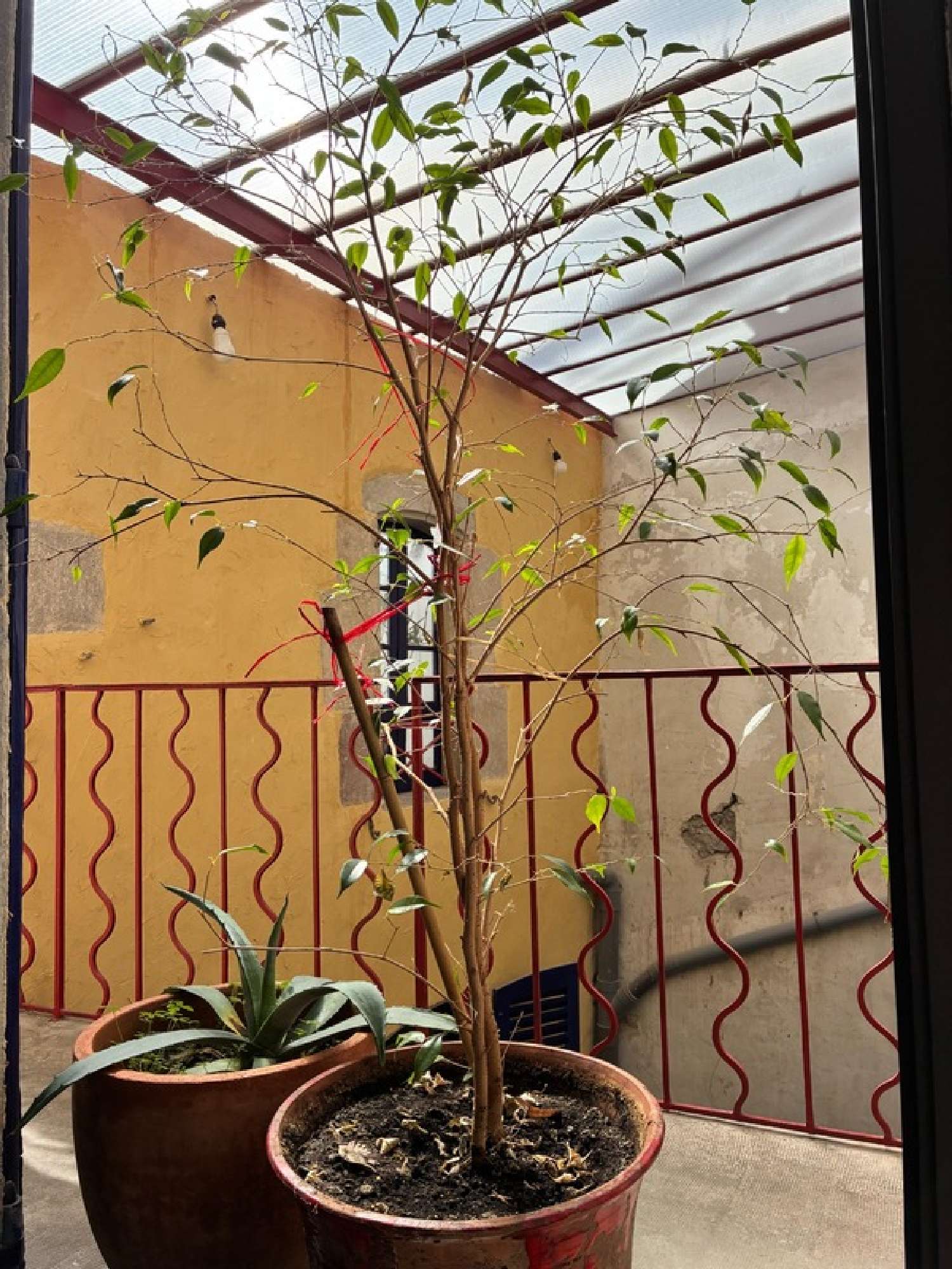  en venta mansión Saint-Affrique Aveyron 2