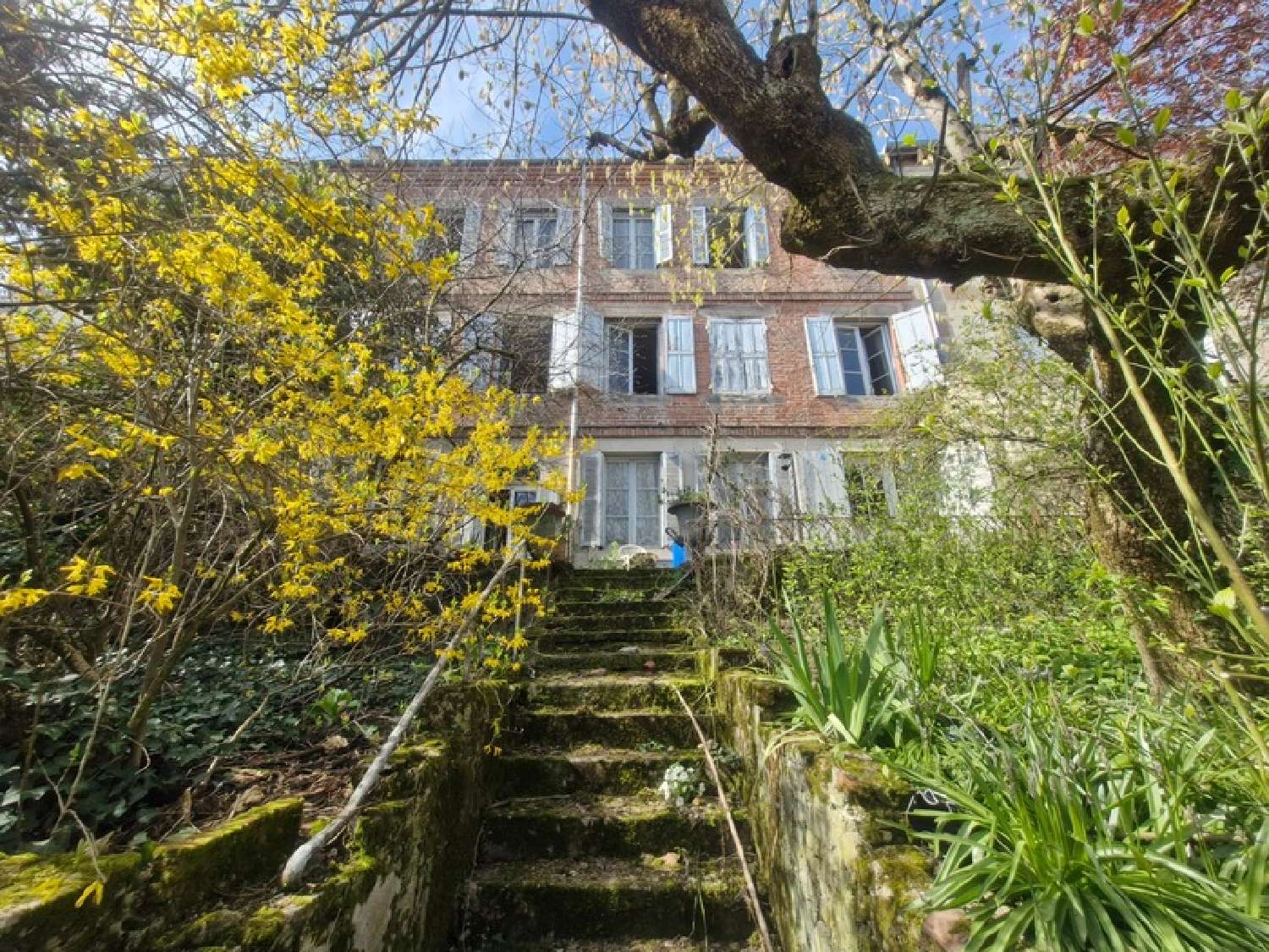  for sale mansion Terrenoire Loire 5