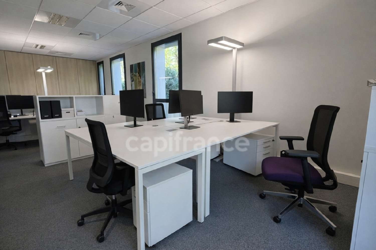 en venta oficina Annecy-le-Vieux Haute-Savoie 3