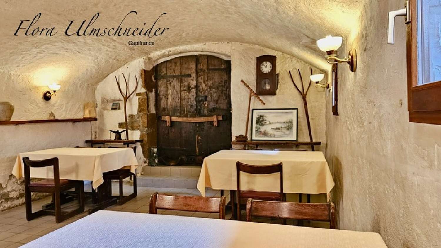 for sale restaurant Serrières-en-Chautagne Savoie 5