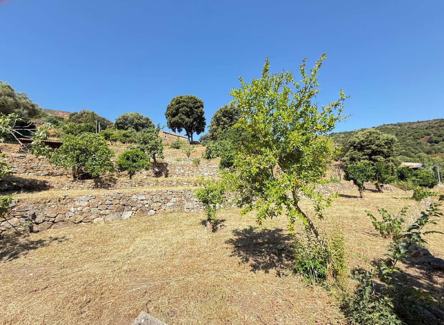  for sale terrain Alata Corse-du-Sud 2