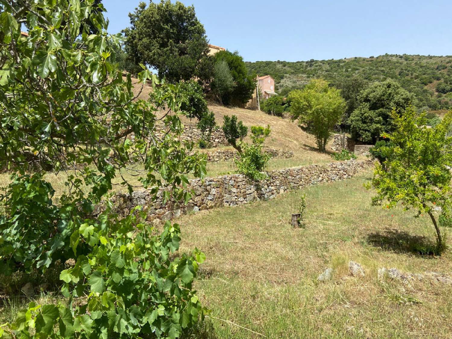  for sale terrain Alata Corse-du-Sud 3